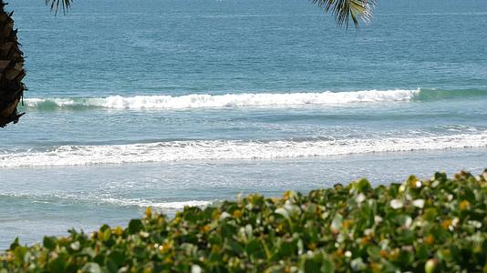 海浪和棕榈树在阳光明媚的白天、暑假和夏季度假视频的预览图