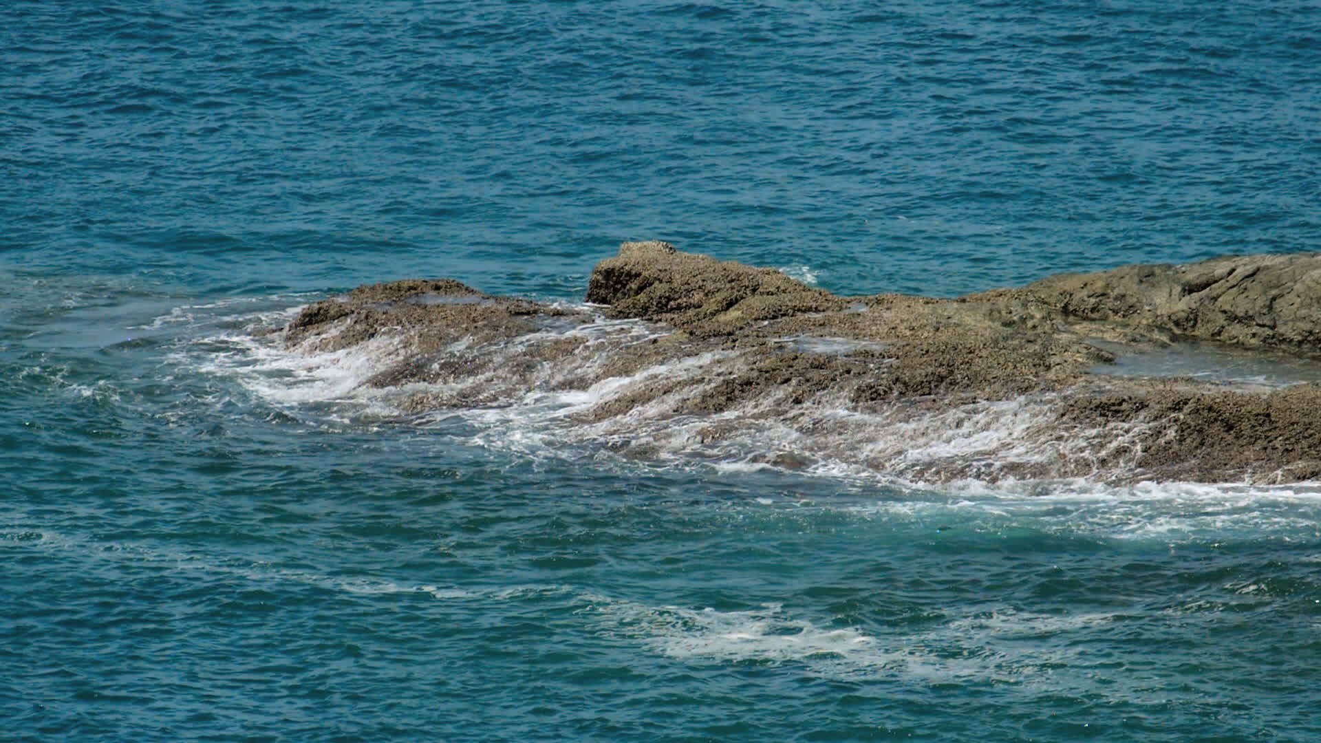 印度洋海岸波浪视频的预览图