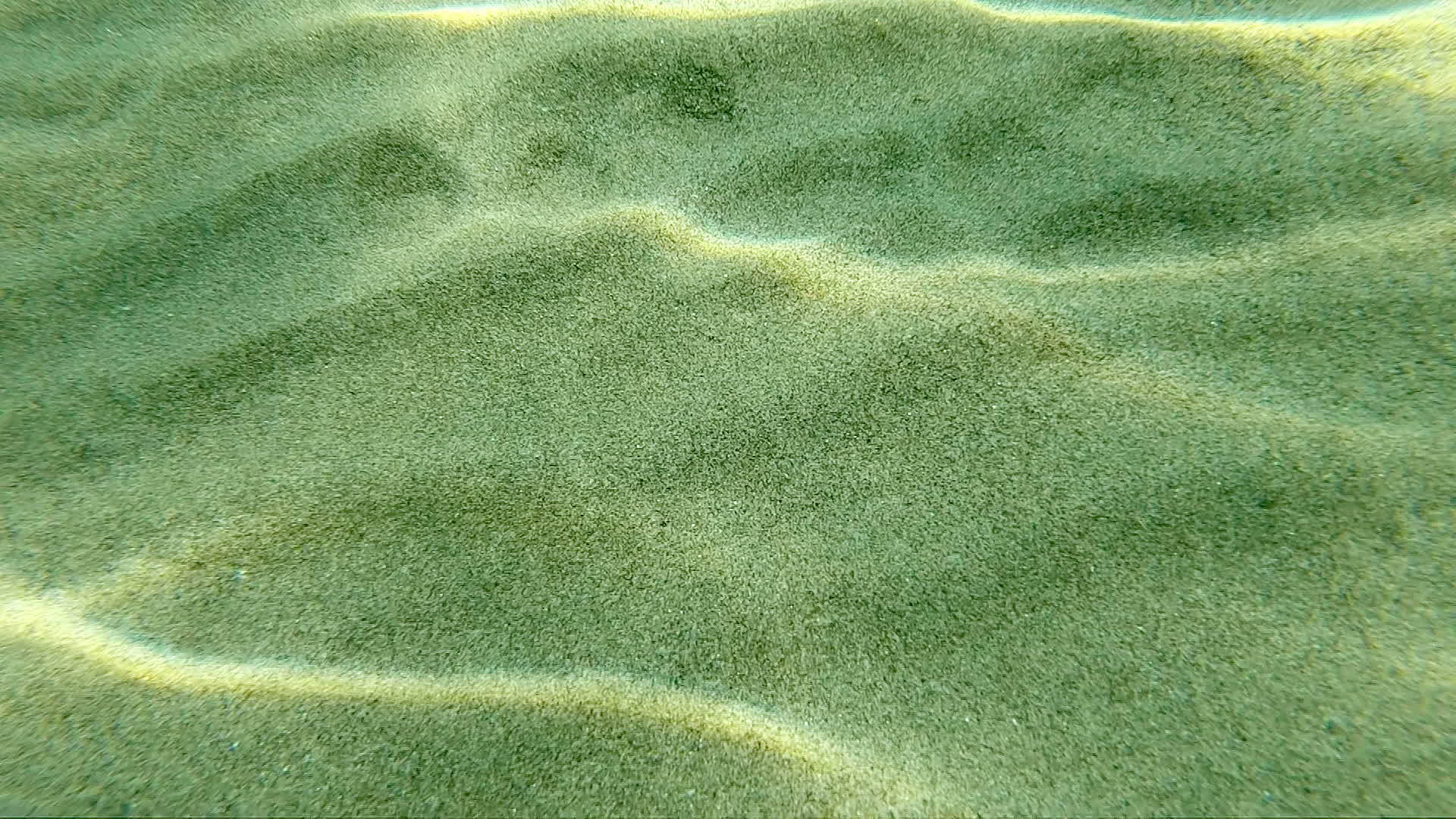 透明清澈的水底沙质地和阳光明媚的水下海景视频的预览图