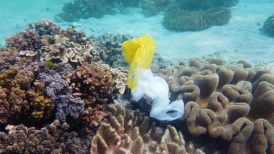 美丽的珊瑚礁被塑料袋污染视频的预览图