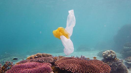 塑料袋污染珊瑚礁视频的预览图