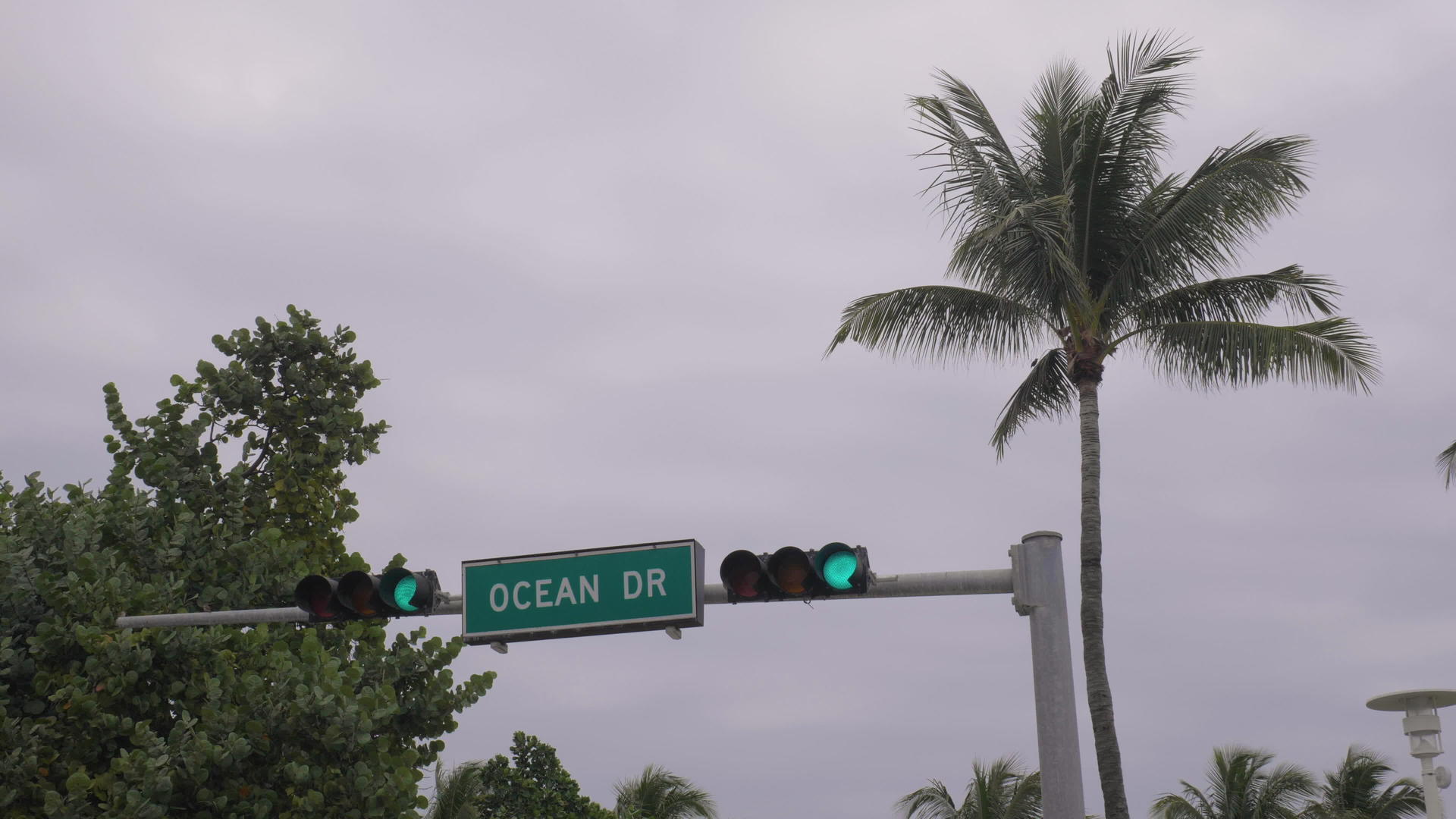 迈阿密海滩的海洋驱动路标和交通灯视频的预览图