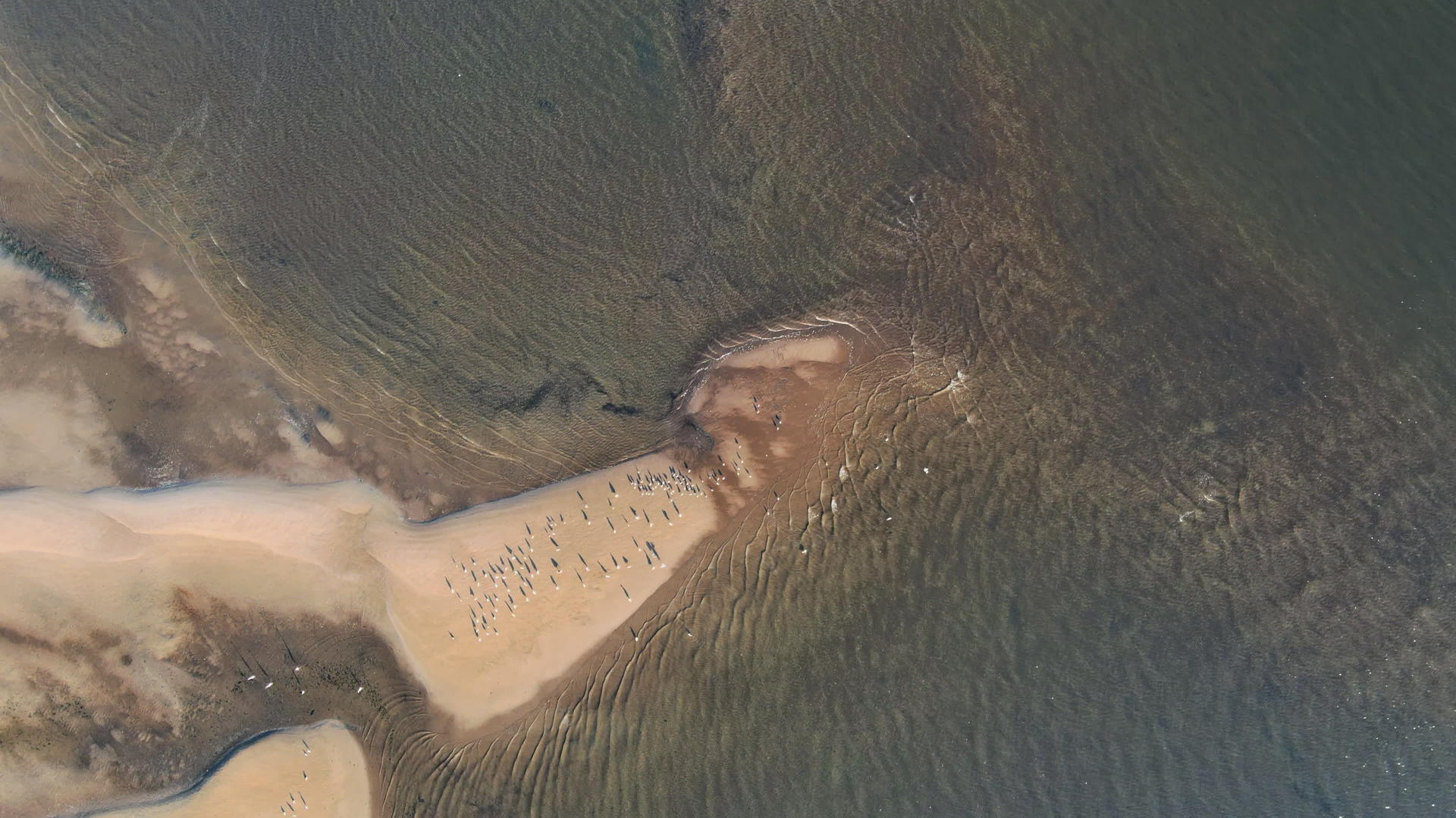 黄沙滩海滩从高处漂浮到蓝色的海面上视频的预览图