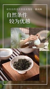 简单的电商产品展示采茶、泡茶、泡茶、喝茶文化视频的预览图
