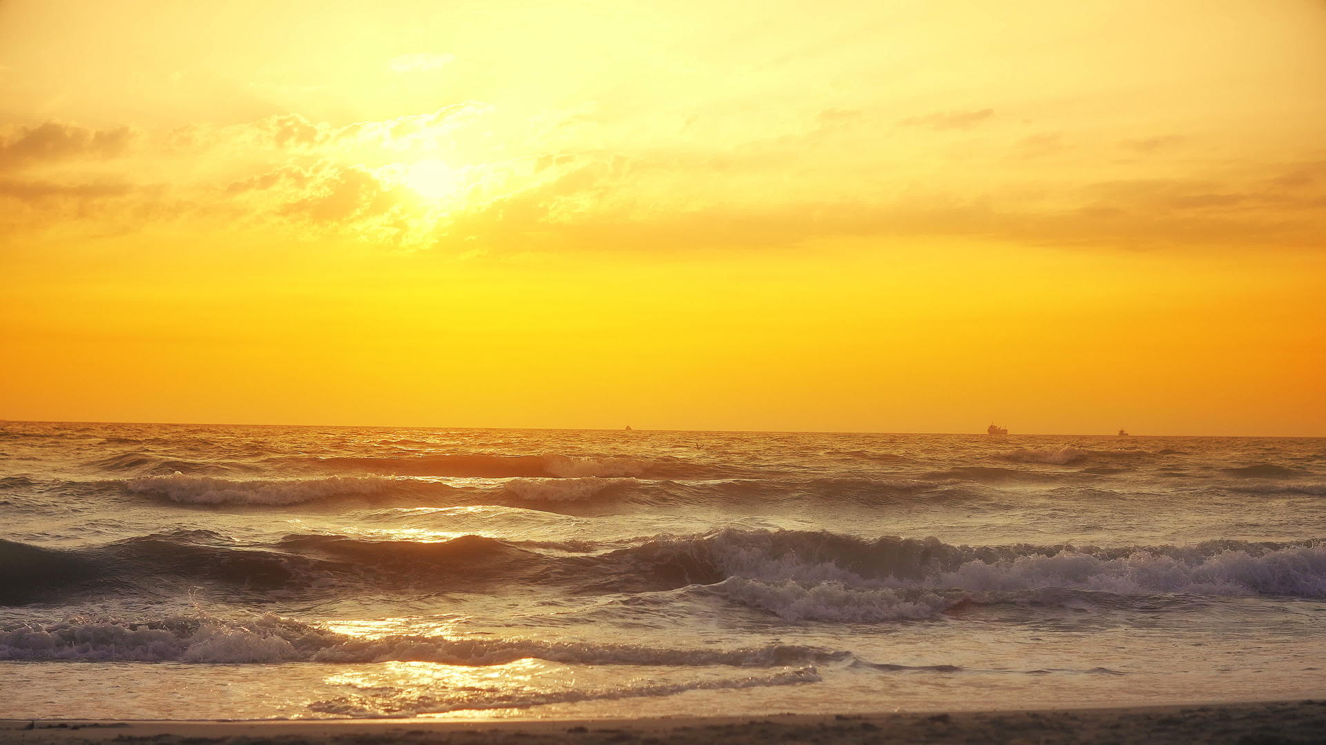海滩上的日落——海上金色日落的宁静田园诗般的场景视频的预览图