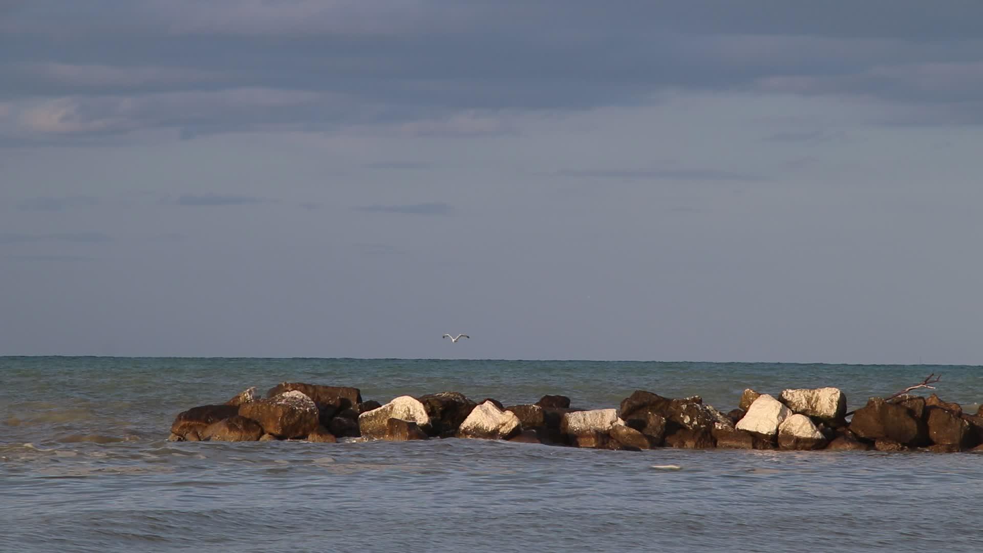 海海视频的预览图