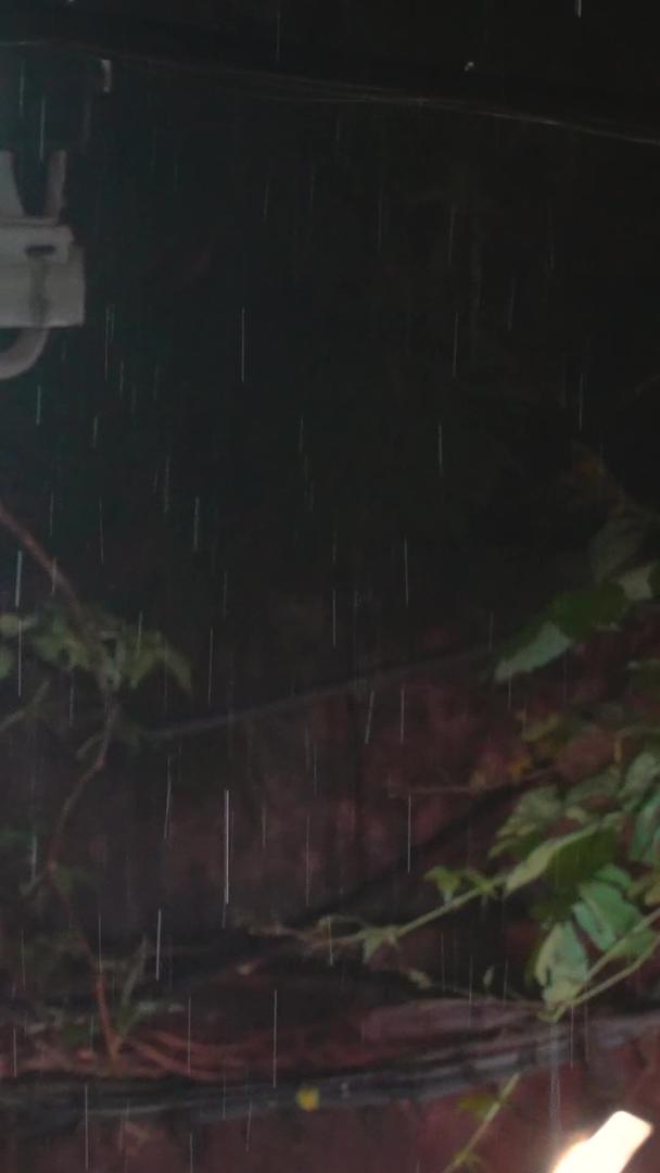 城市气候暴雨天气下雨天路灯下雨丝素材视频的预览图