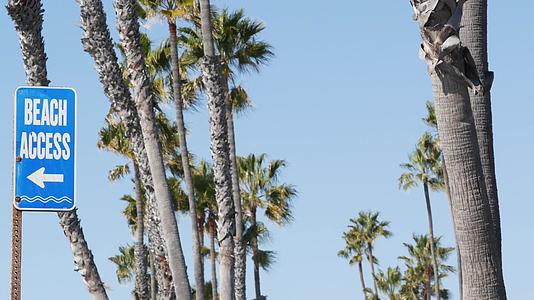 加利福尼亚州阳光明媚的海滩标志、棕榈树和棕榈树视频的预览图