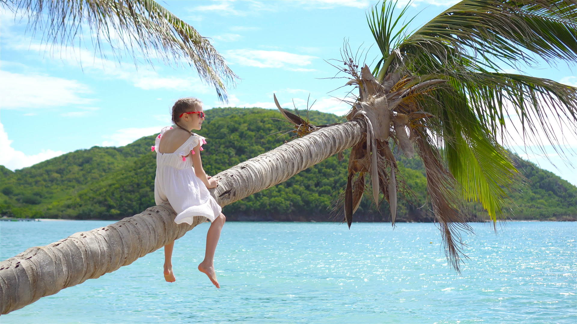 坐在棕榈树上棕榈树上在反古老的阿岛度假视频的预览图