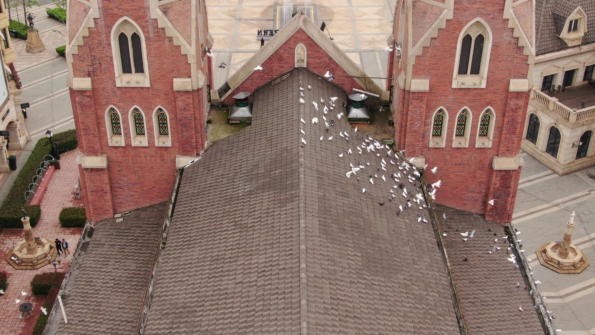 航拍欧式城堡上的白鸽视频的预览图