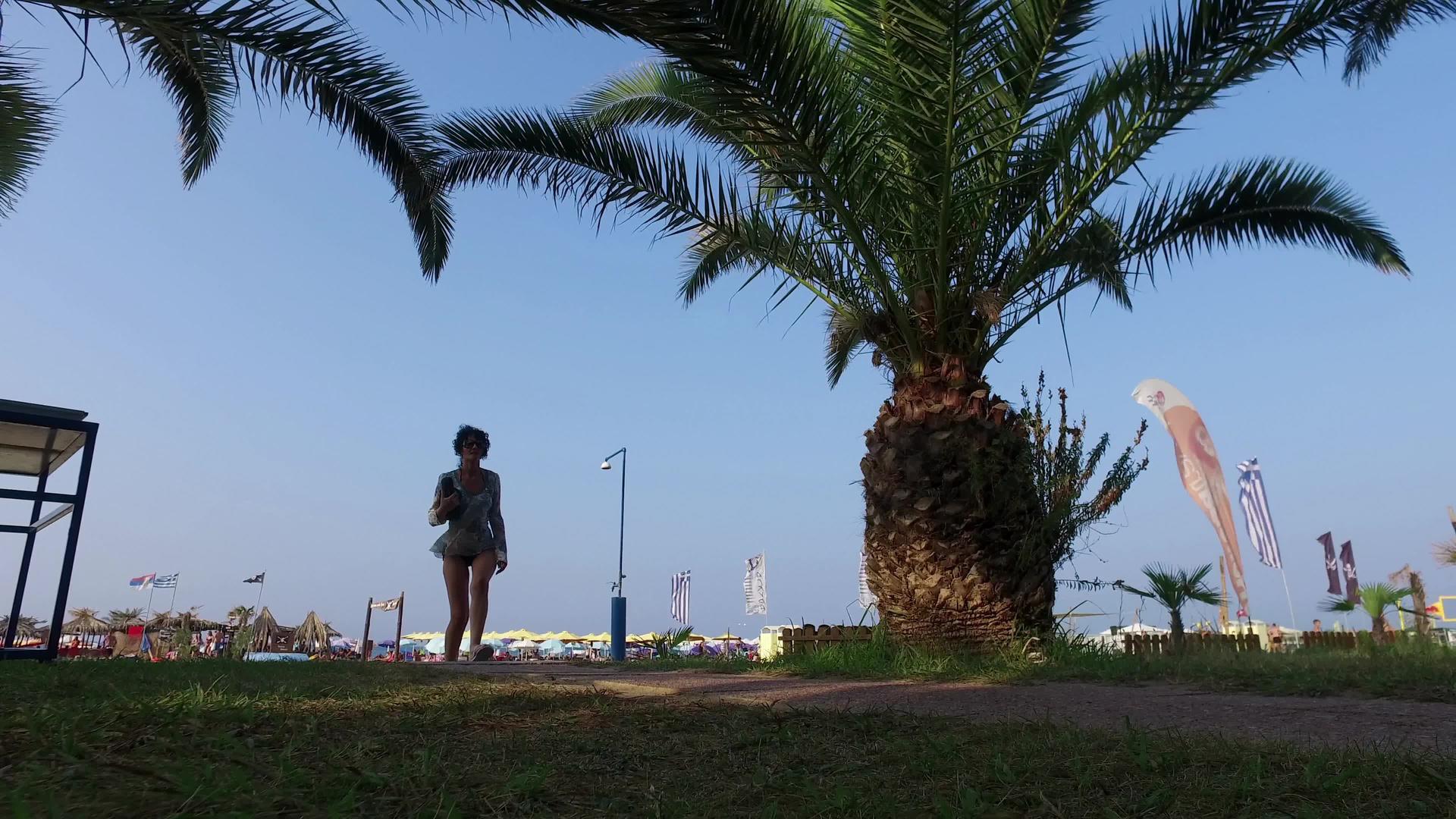 女孩在海边的棕榈树下行走视频的预览图