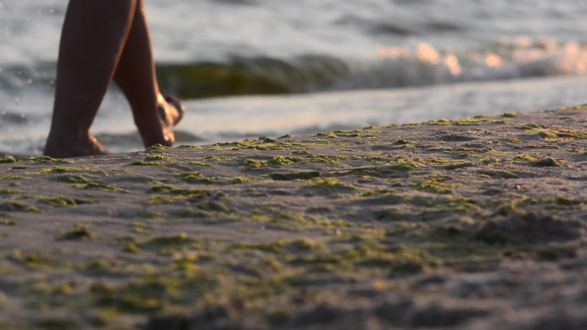 赤脚走在湿沙滩上视频的预览图