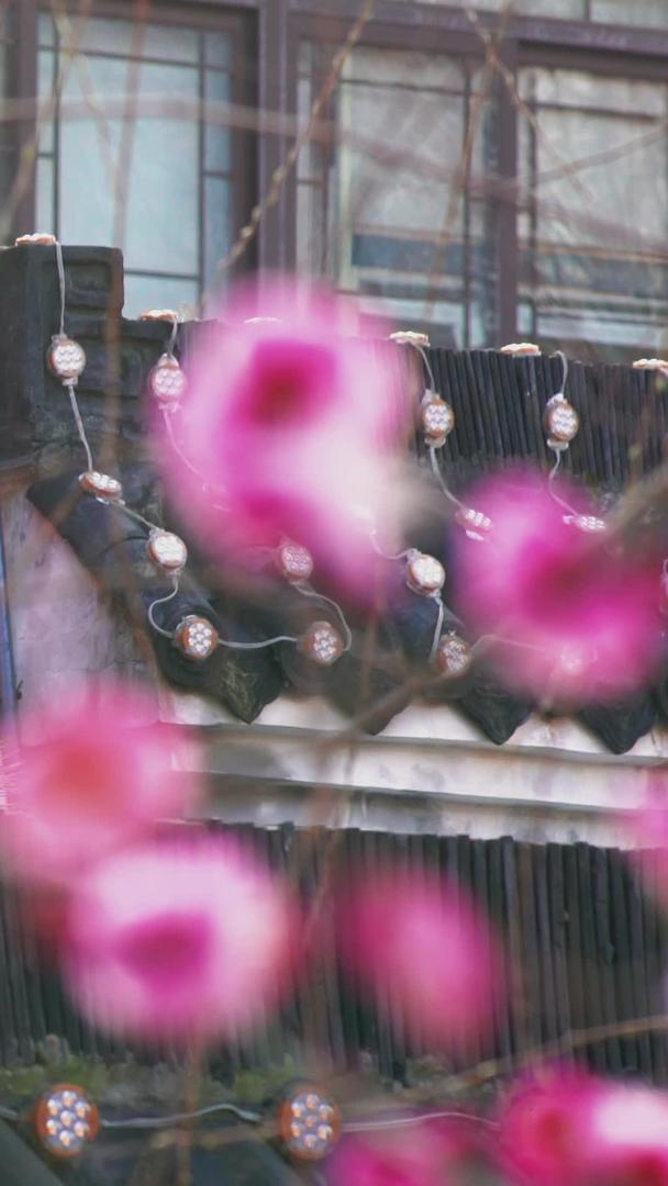 中国风梅花红灯笼古建筑虚实变焦实拍视频素材视频的预览图