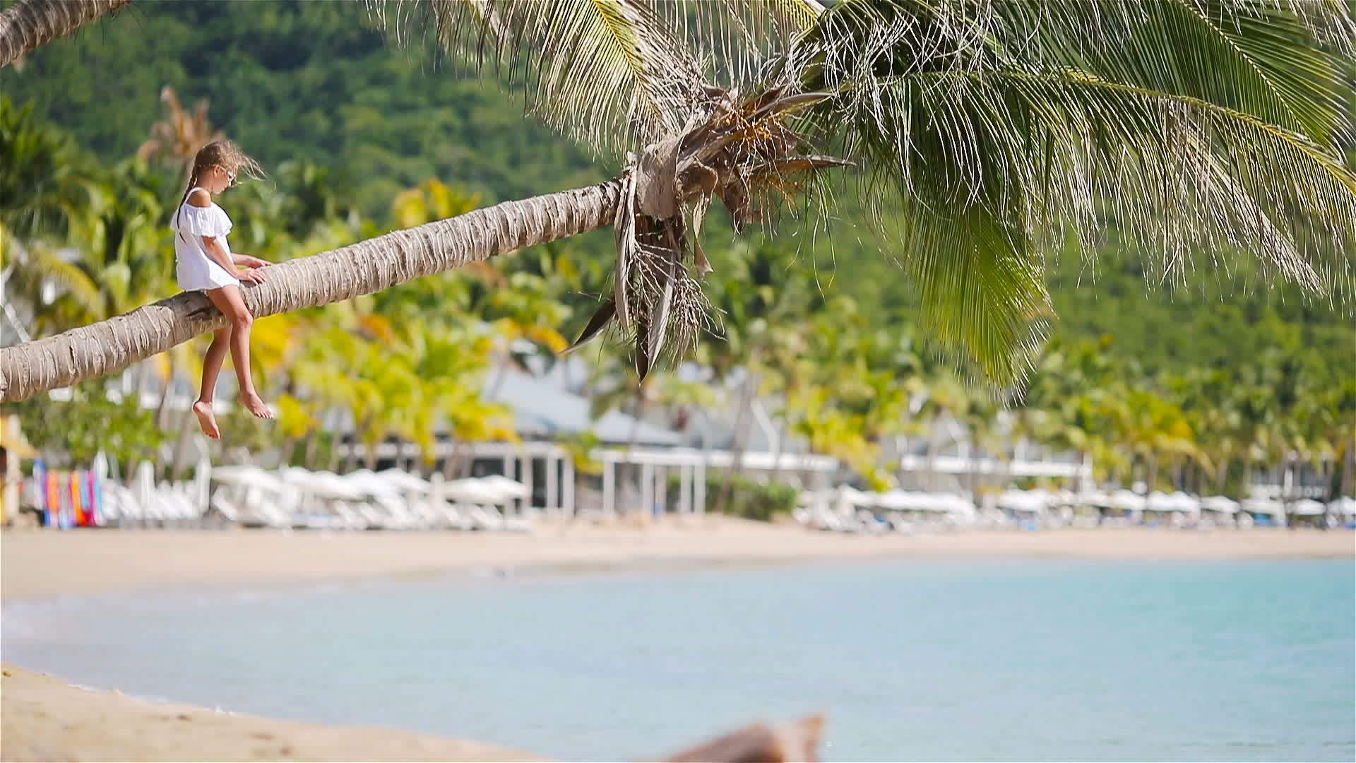 暑假期间热带海滩上可爱的小女孩坐在棕榈树上视频的预览图