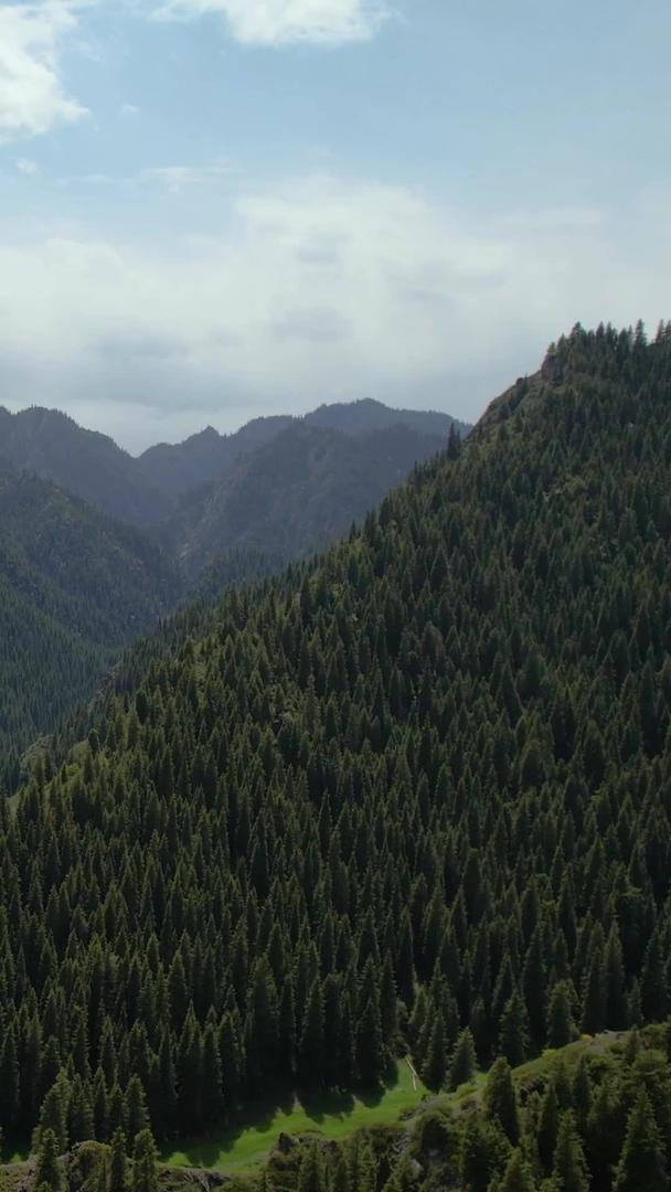 航拍5A天山大峡谷景区牦牛湖景观区视频视频的预览图