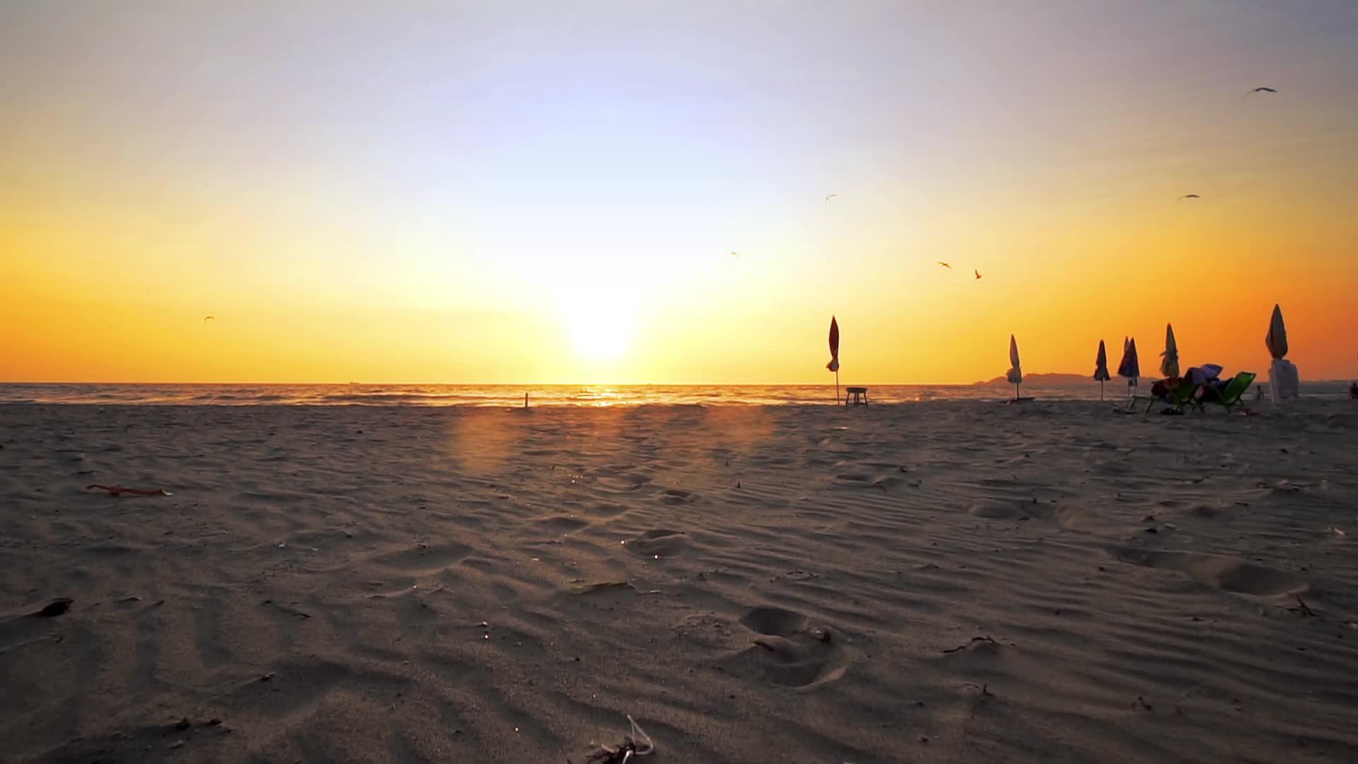 一群朋友玩得很开心日落时他们在海滩上跑来跑去电影制片人视频的预览图