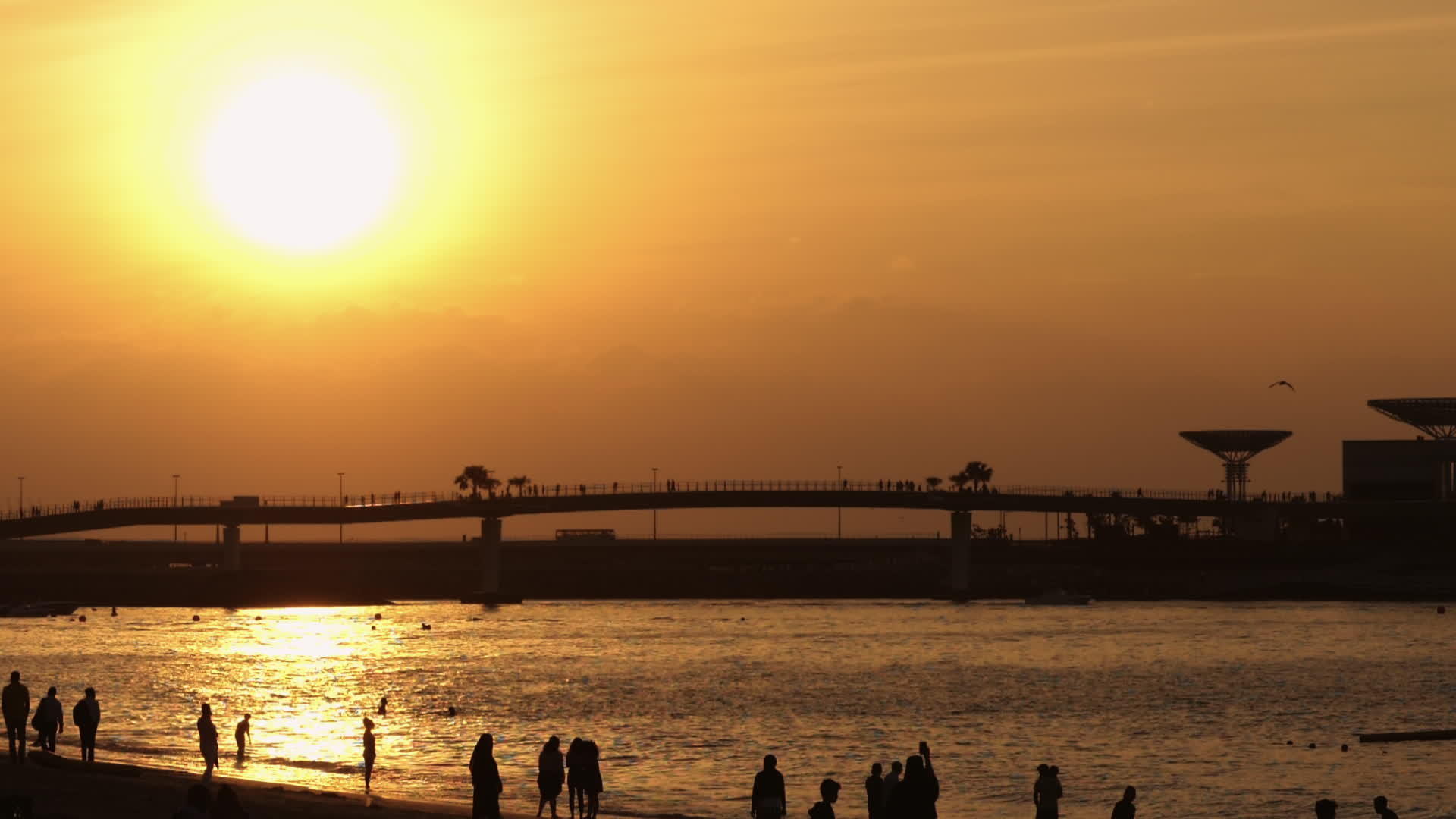 海滩上的日落人群视频的预览图