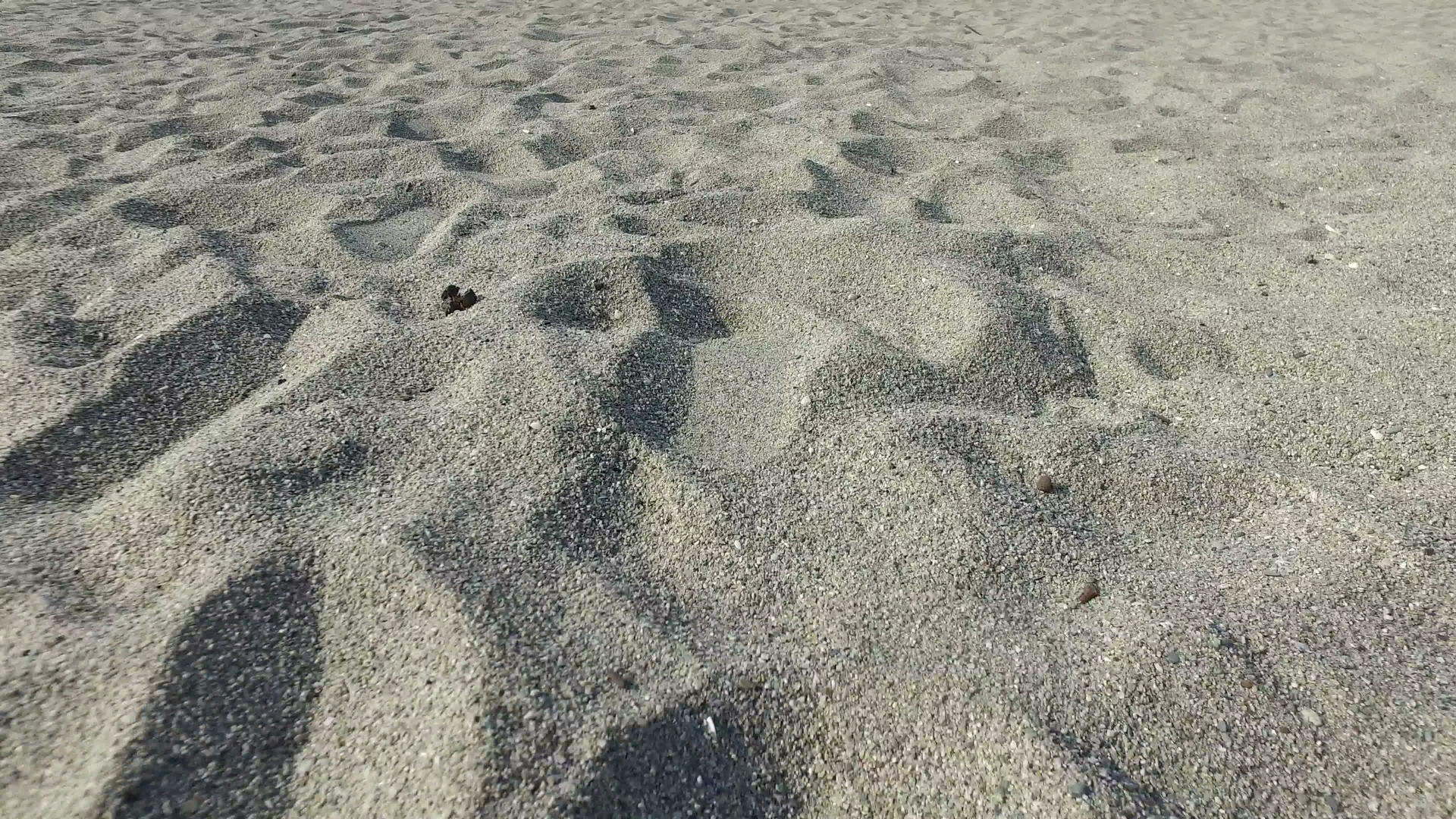 4k在海滩上的小沙丘上移动视频的预览图