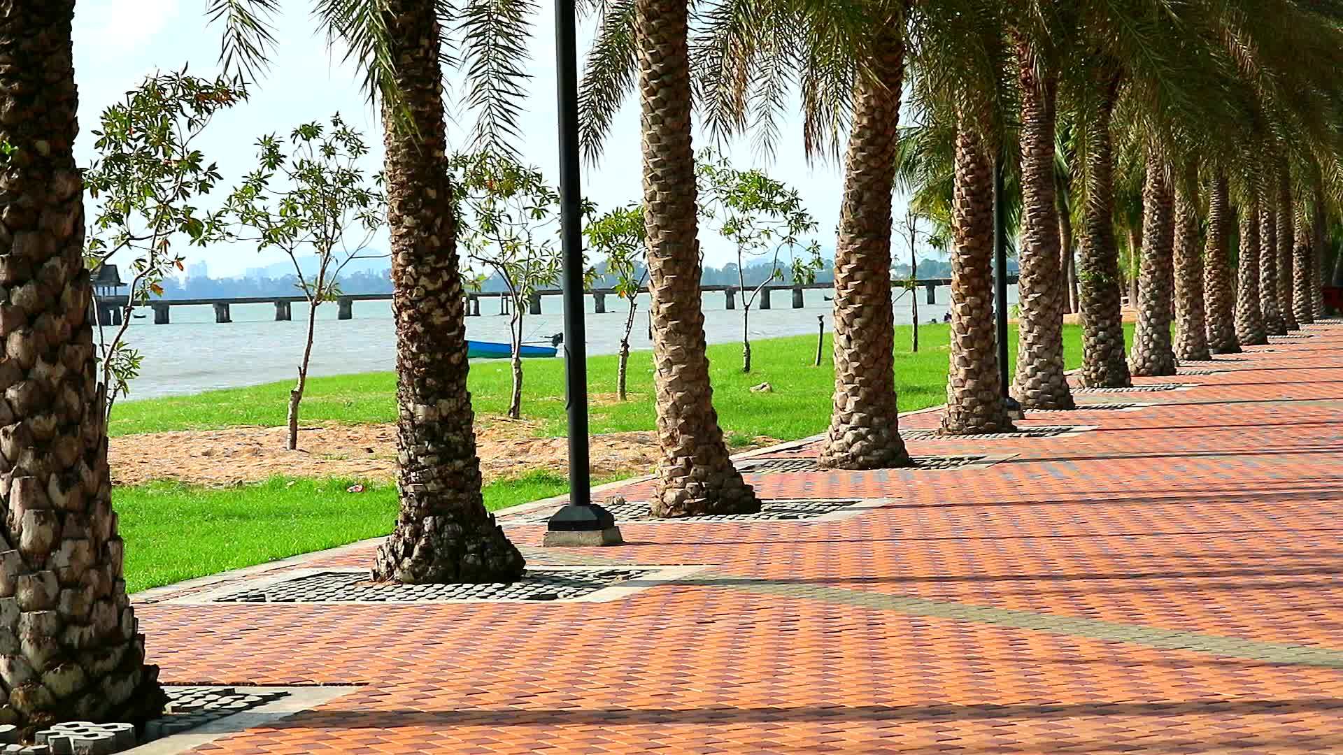 走在海滩附近的公共花园旁边的棕榈树旁边视频的预览图