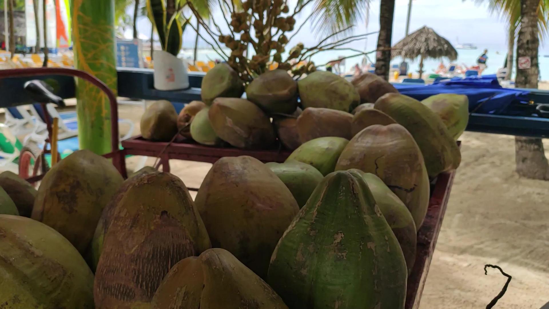海滩上的椰子视频的预览图