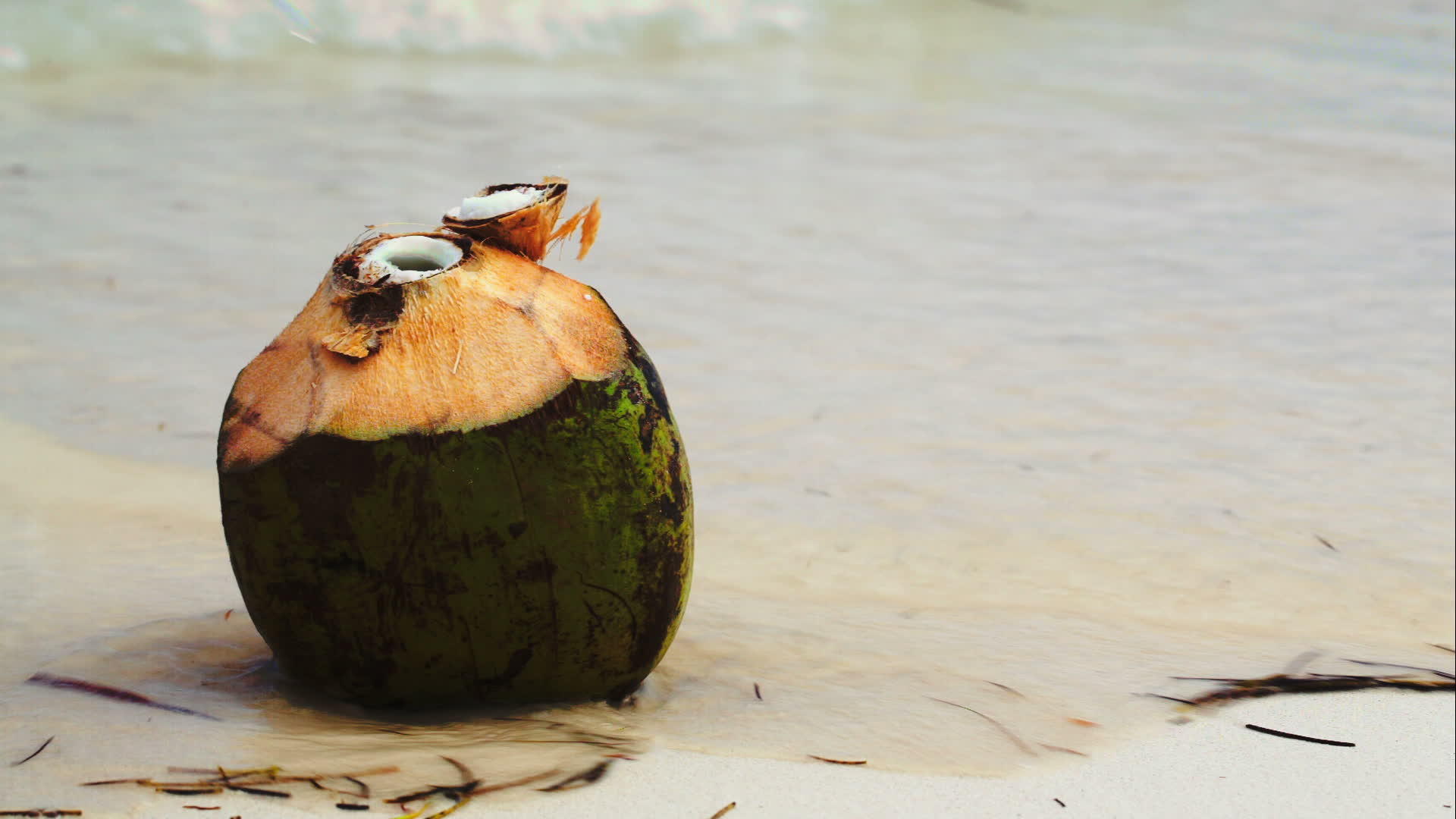 海滩上的椰子用女人的手把稻草放在那里视频的预览图