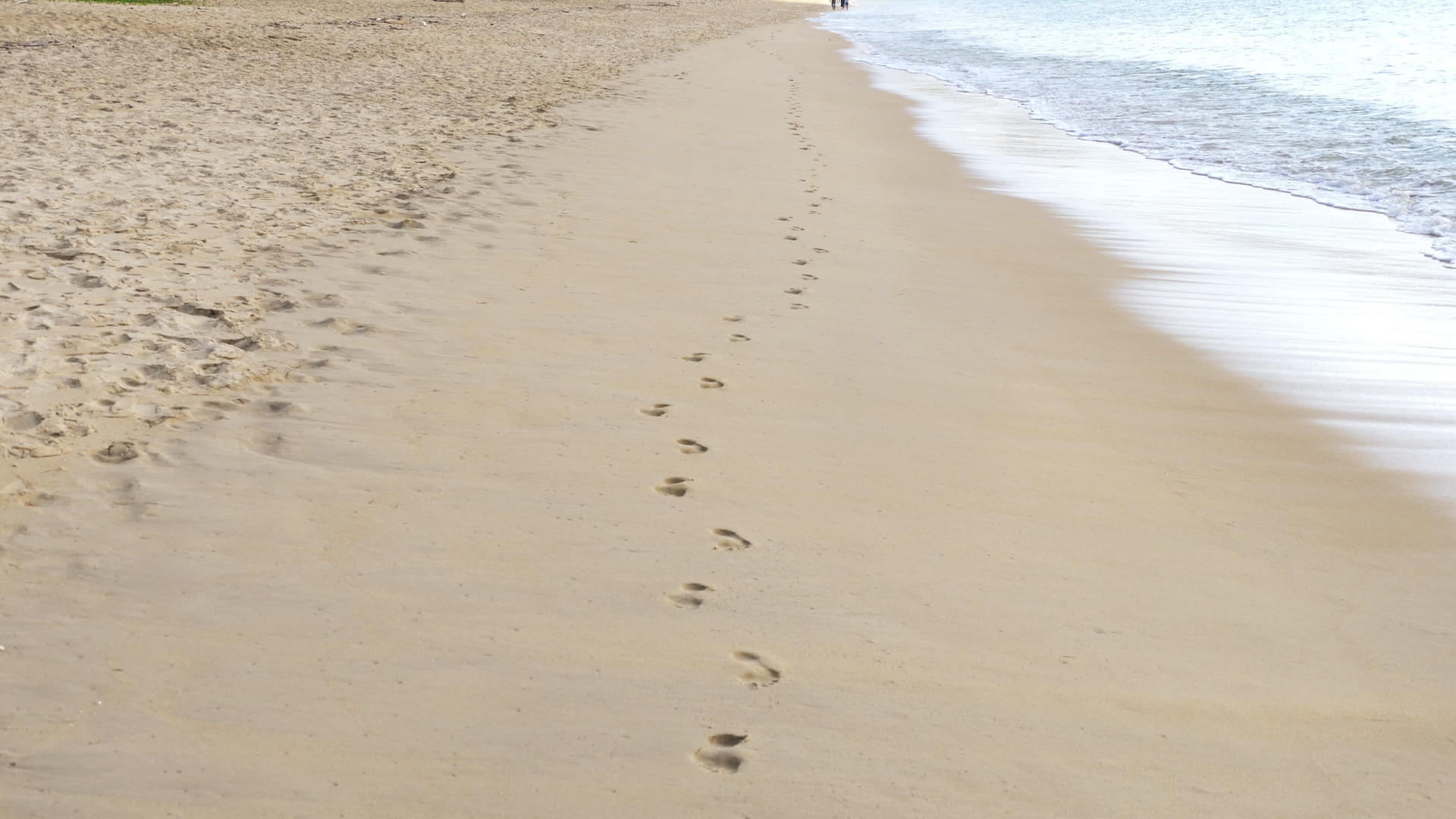 海滩上的脚印视频的预览图
