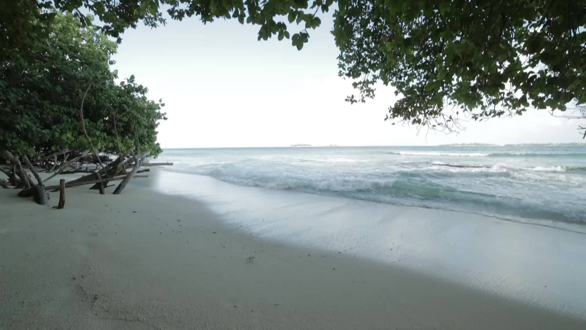 海浪、海浪和海浪在海滩上视频的预览图