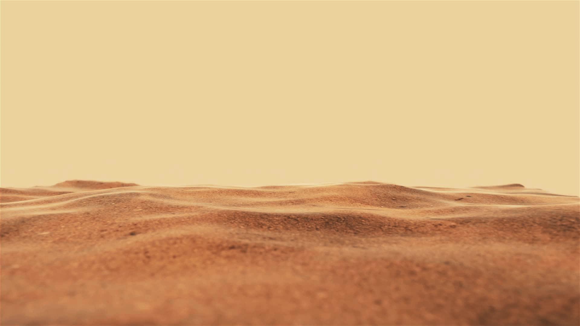 草质沙子靠近海滩视频的预览图