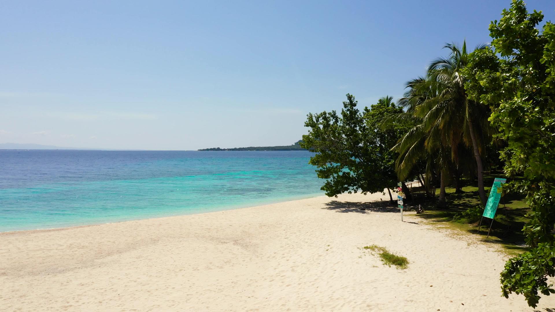 白色沙滩和树木黑木兰岛莱特岛菲利平斯岛视频的预览图