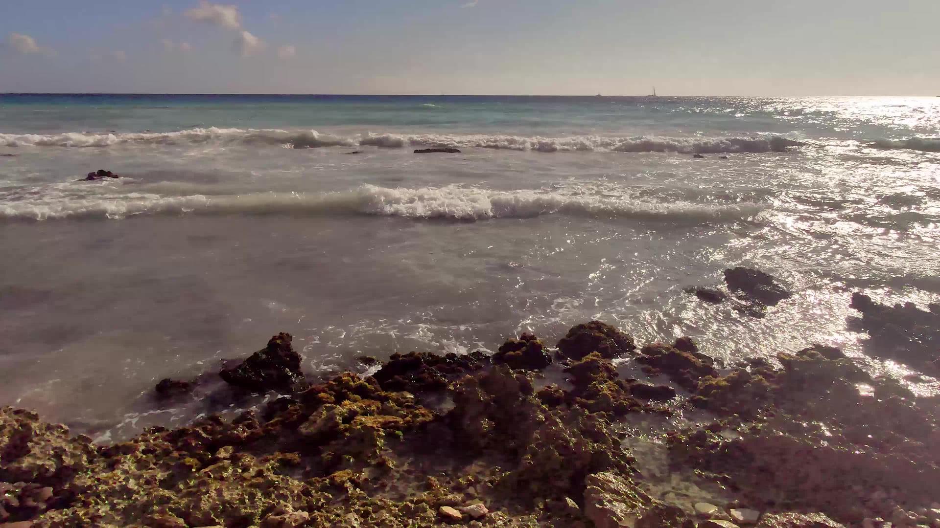 多米尼克斯海景观2视频的预览图