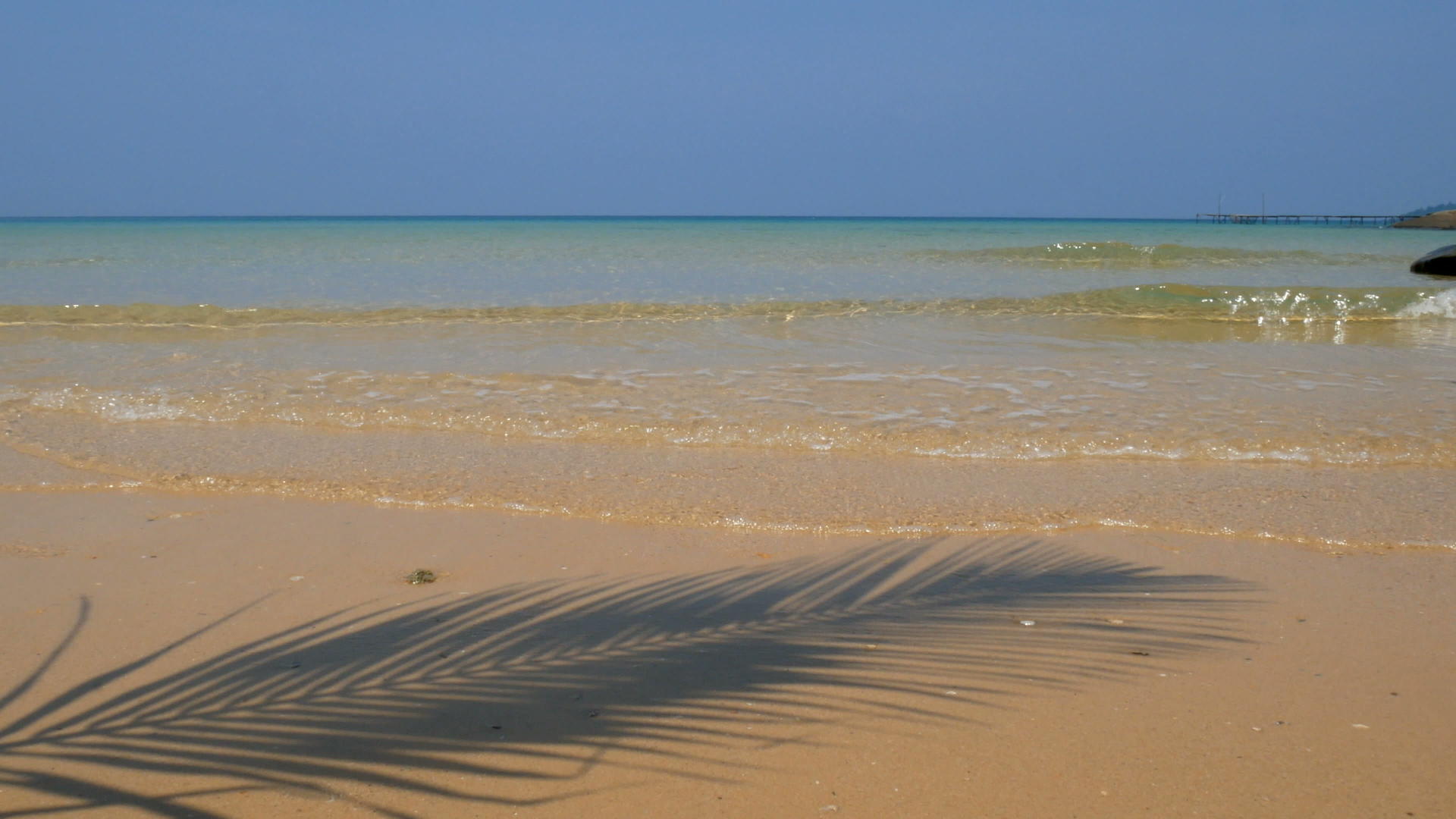 4椰子棕榈叶的阴影延伸在沙滩上流出波浪晶体清水清水视频的预览图