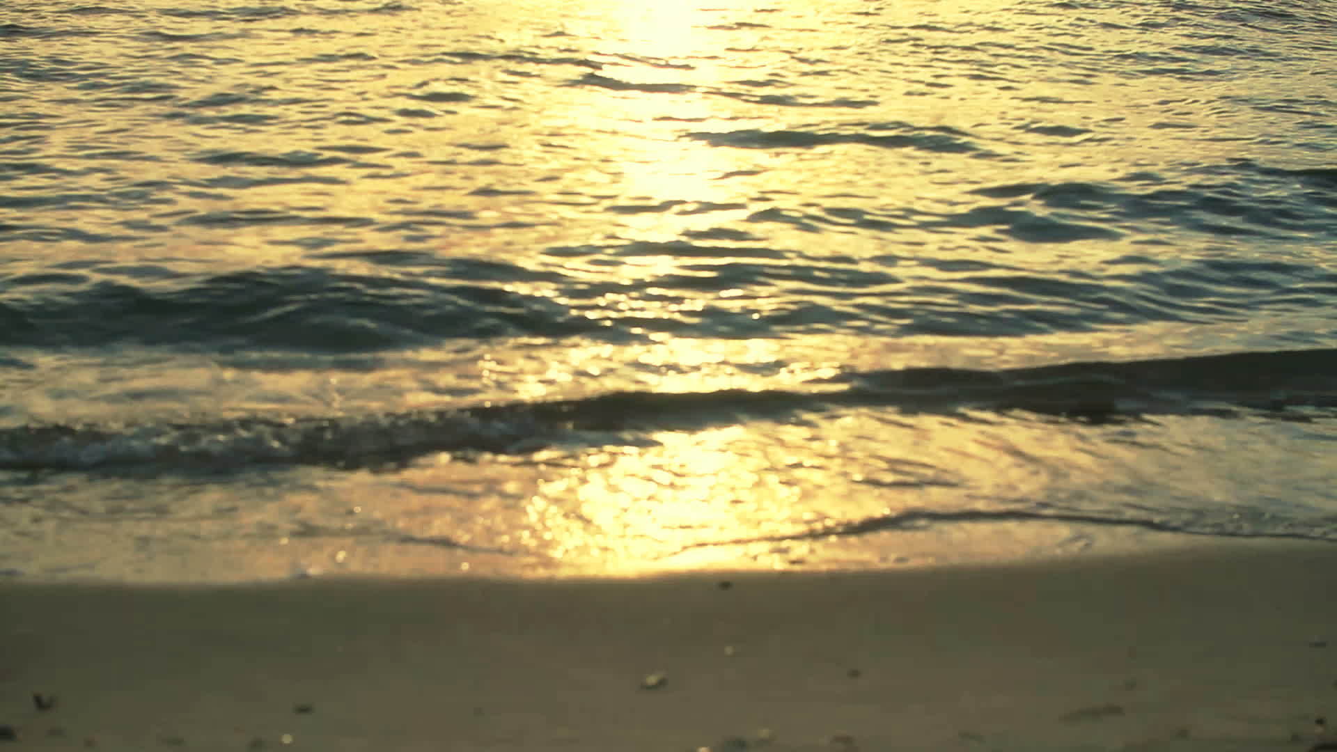 日落海滨视频的预览图
