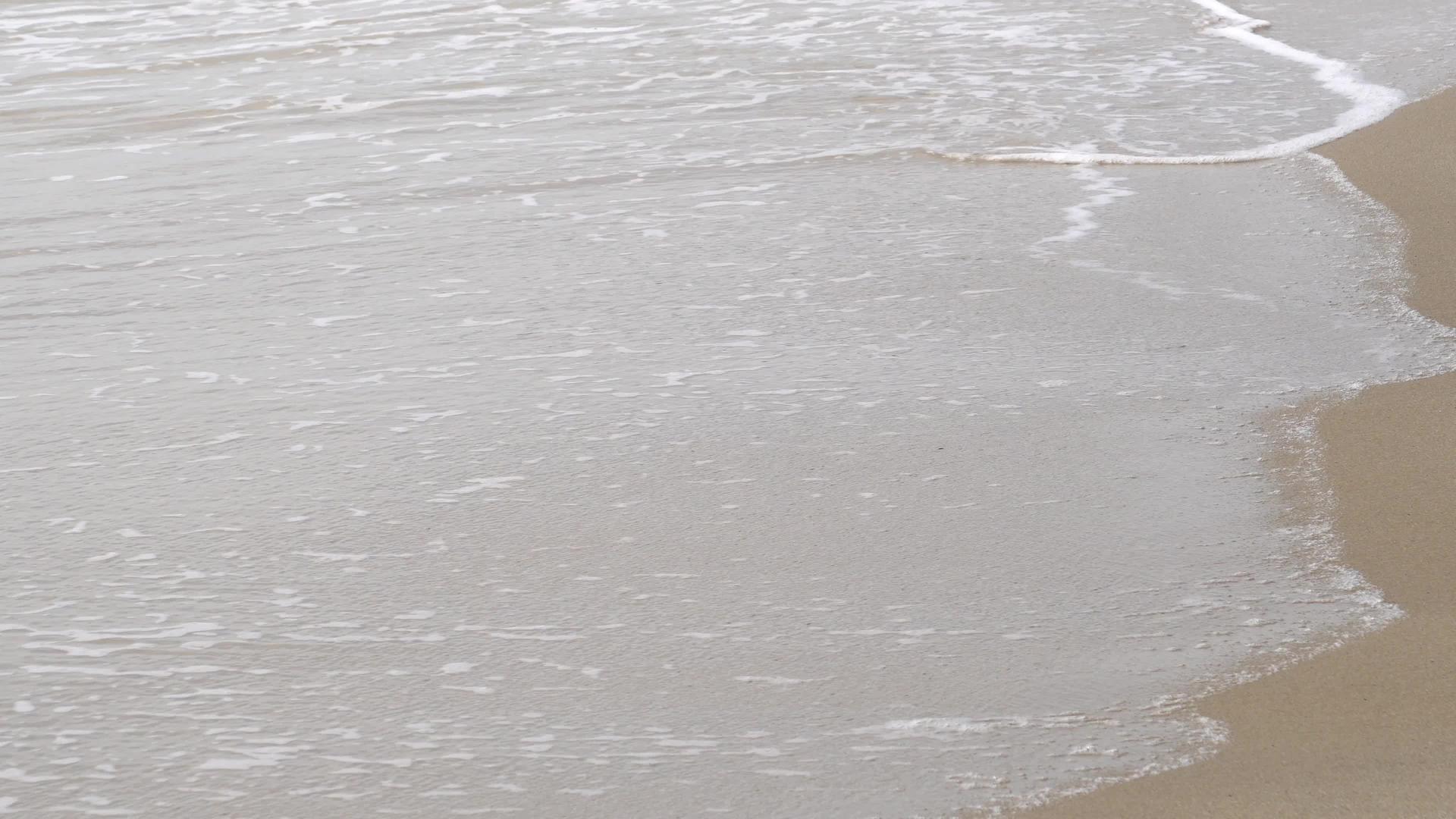 海滩上有温和的波浪视频的预览图
