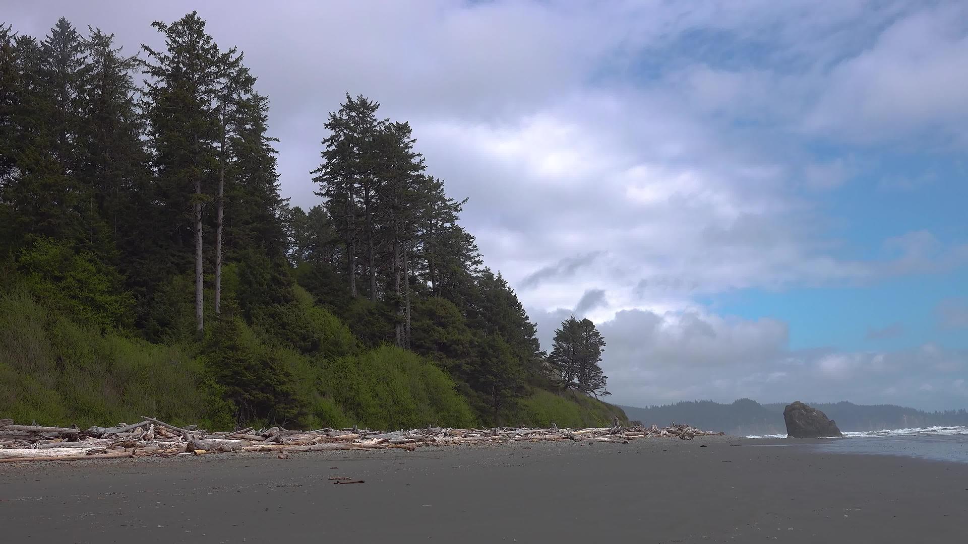 太平洋海岸海洋波浪奥林匹亚国家公园视频的预览图