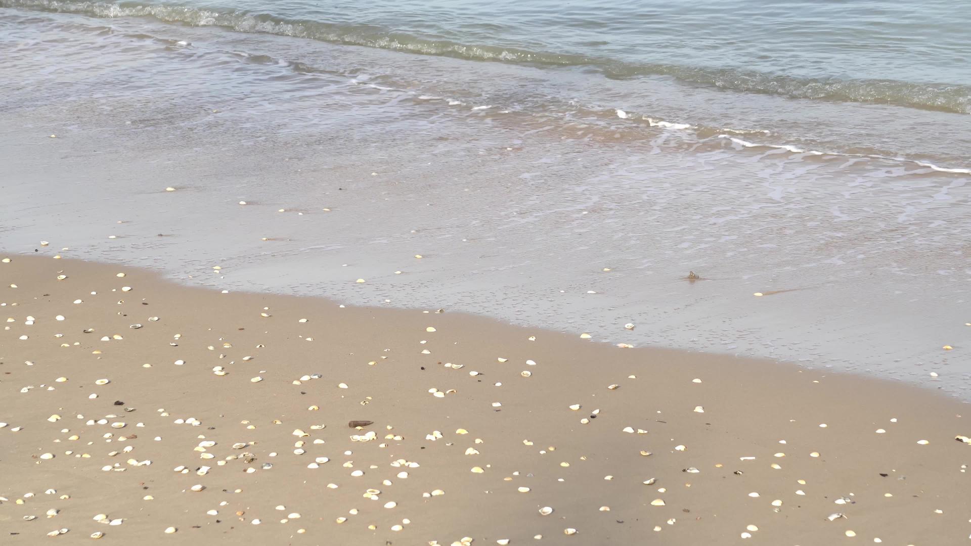 阳光明媚的海水风光照耀着海岸视频的预览图