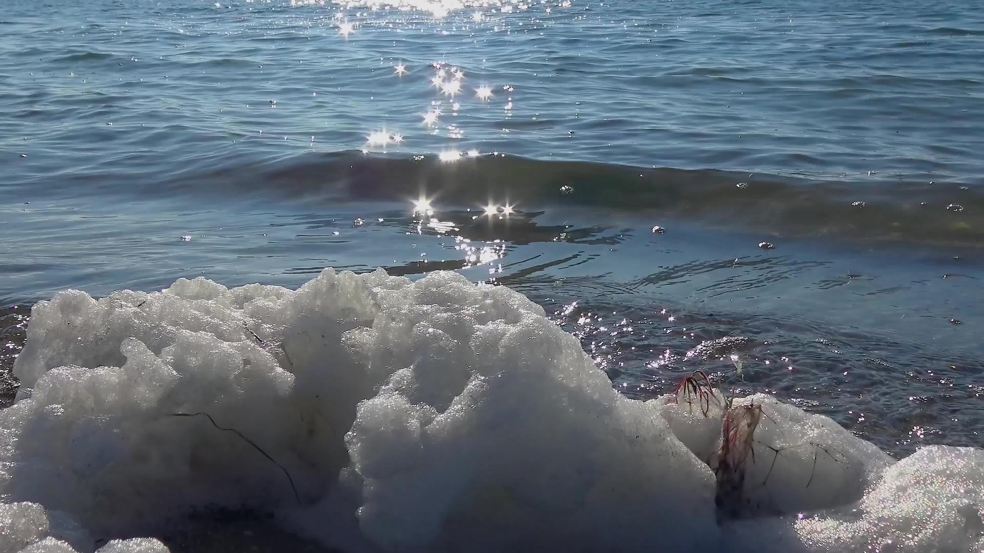 富营养化储水层污染生态问题水上和海岸污染泡沫；视频的预览图