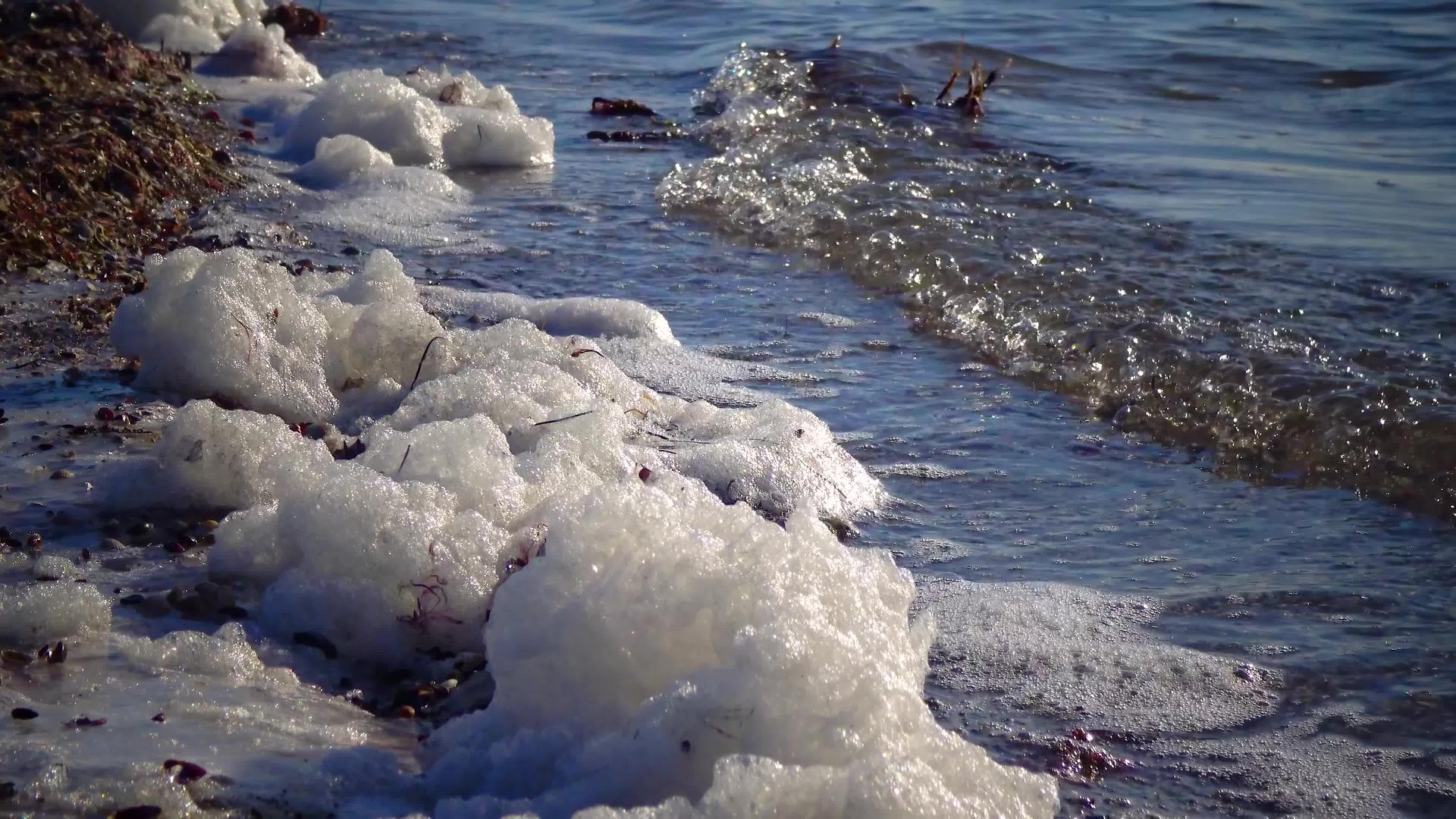 富营养化储水层污染生态问题水上和海岸污染泡沫；视频的预览图
