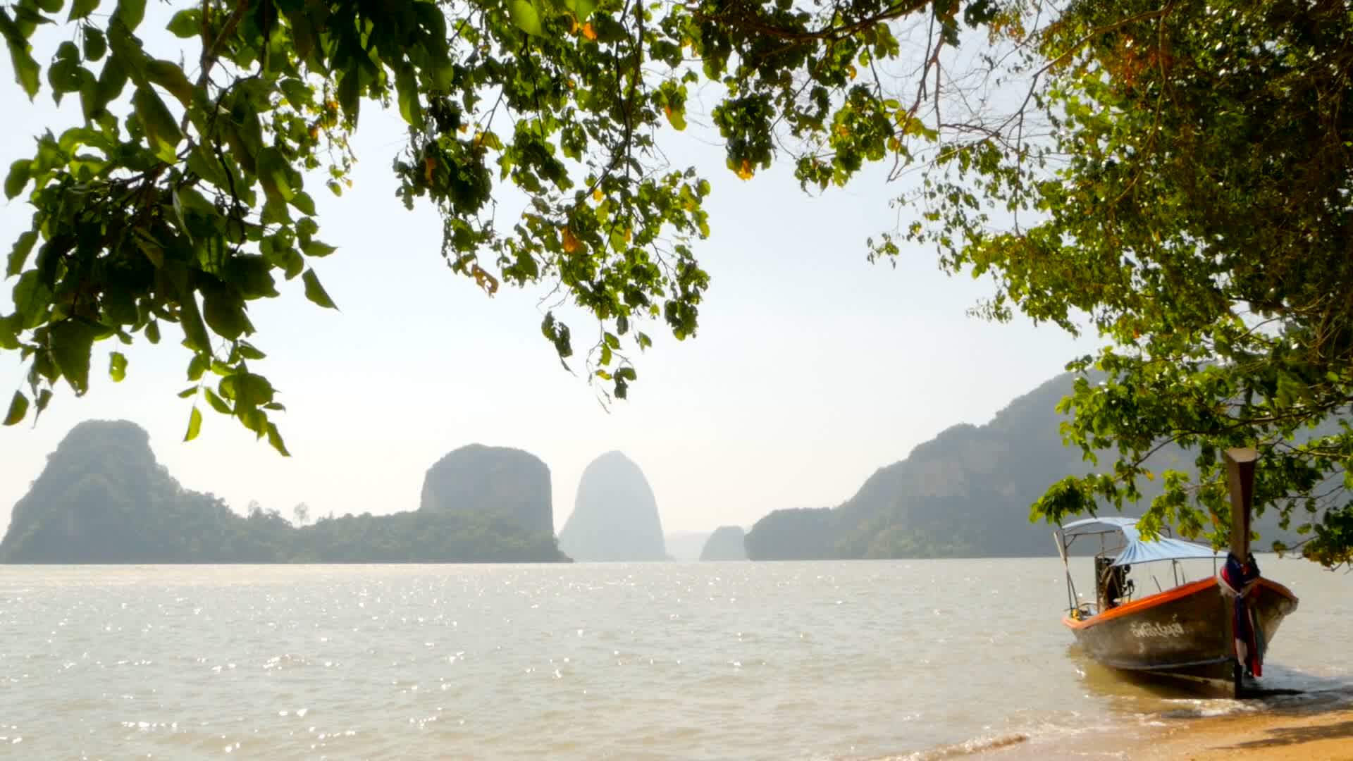 在树荫下的热带海滩上轻轻滚动的宁静海浪视频的预览图