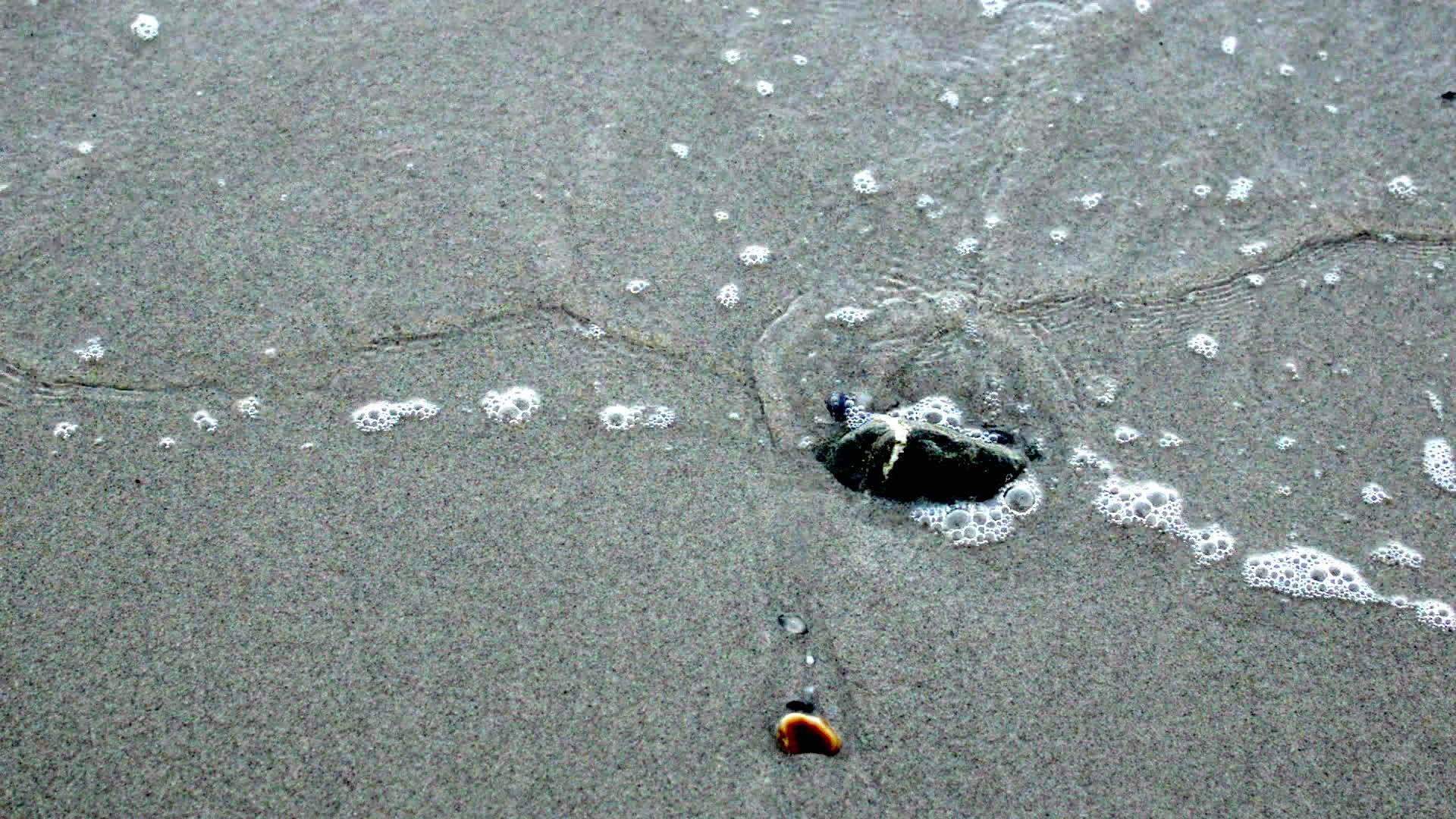 白色沙滩上岩石上的小海浪视频的预览图