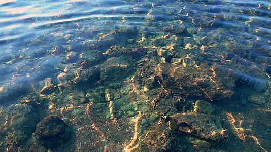 近海珊瑚礁水晶晶明亮的闪光水视频的预览图