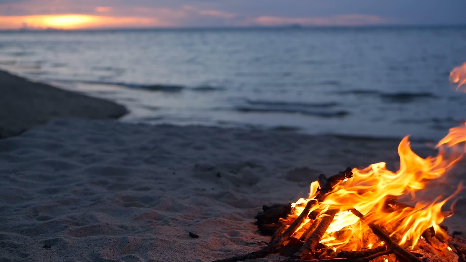 在海滩上点燃营火夏天大自然是营火的背景视频的预览图