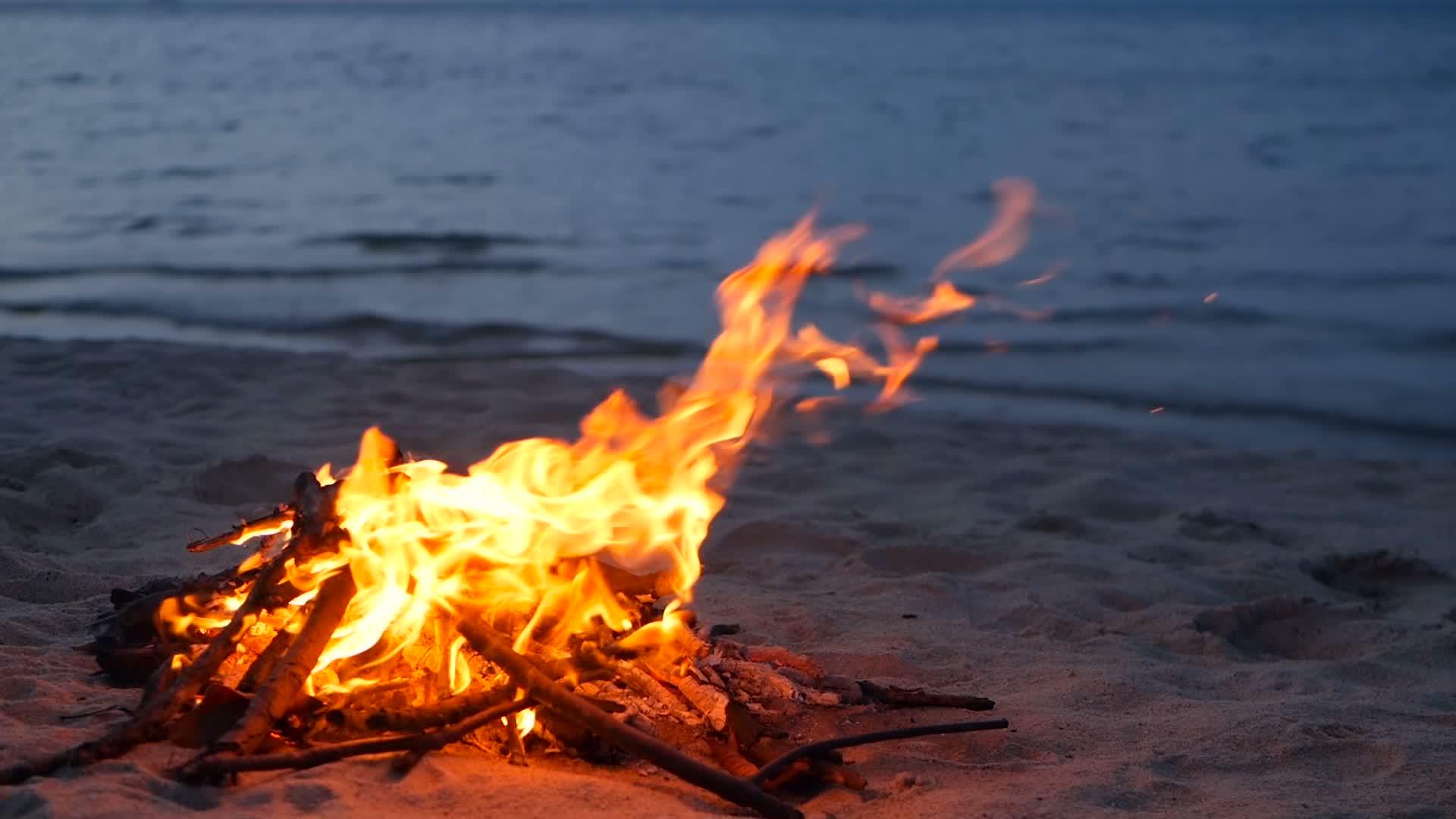 在海滩上点燃营火 夏天 大自然是营火的背景 视频的预览图