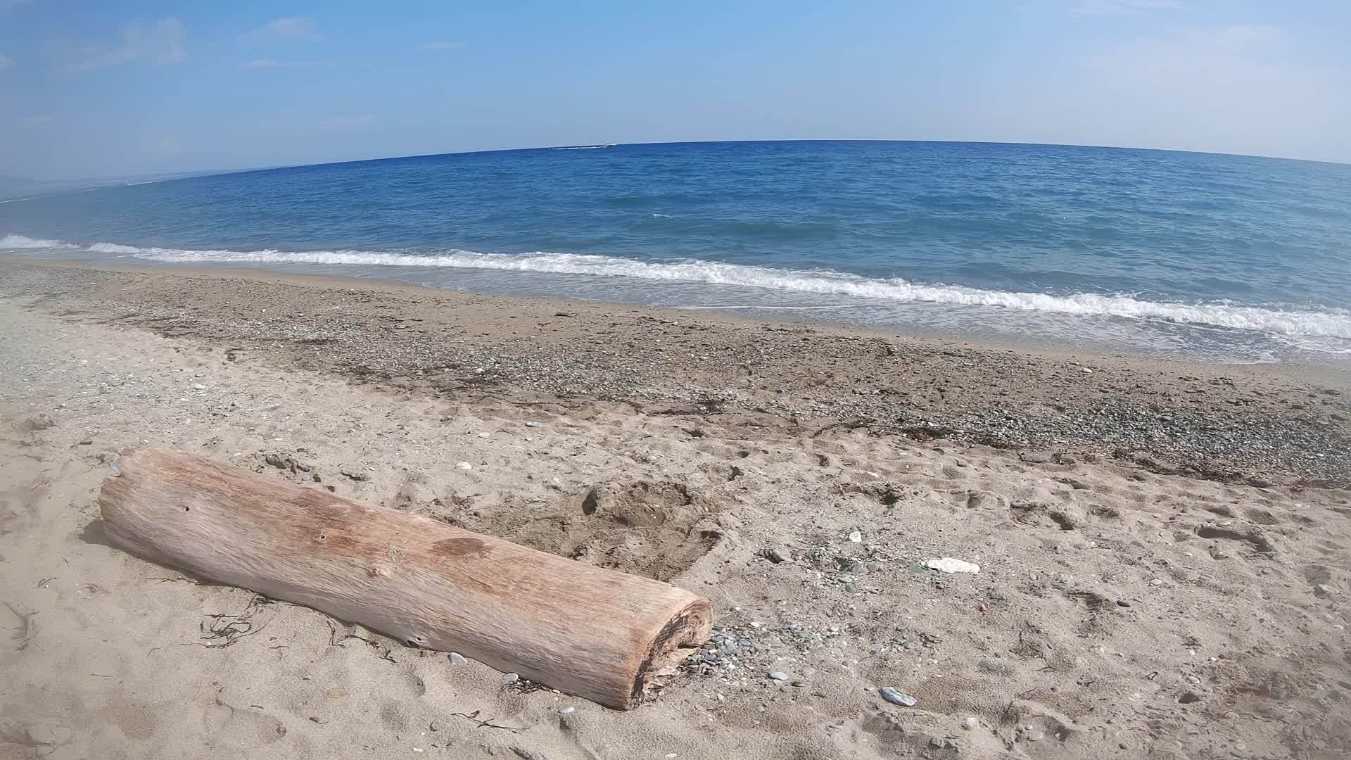 海浪和废弃树干在海滩上慢慢移动视频的预览图