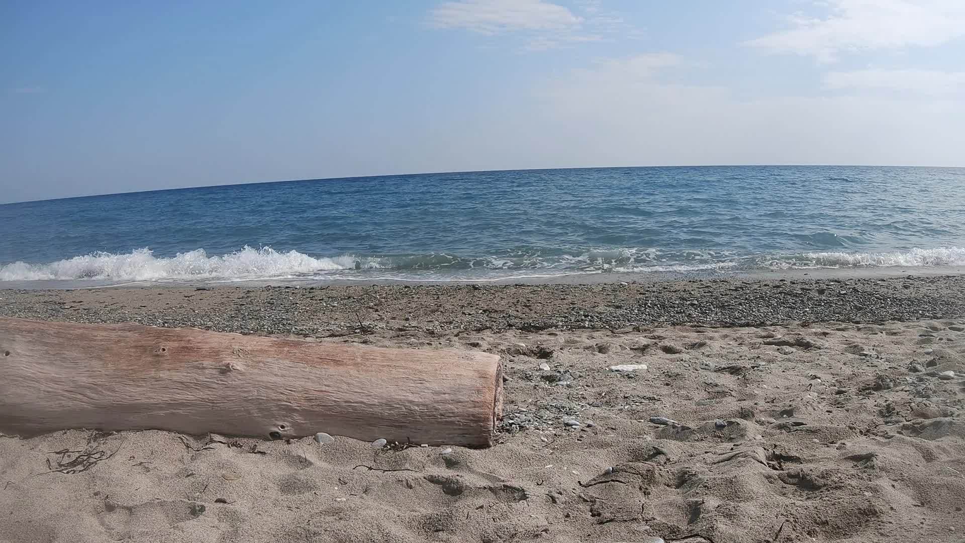树干冲在希腊岛海滩上慢慢移动视频的预览图