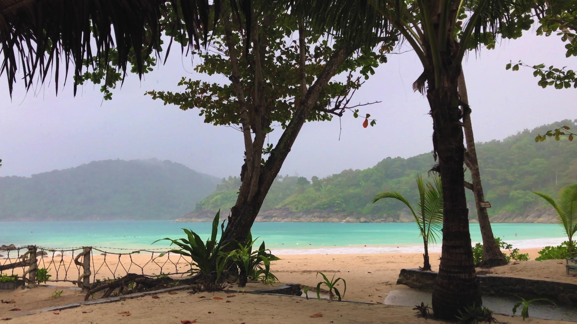 棕榈树和海滩在雨季视频的预览图