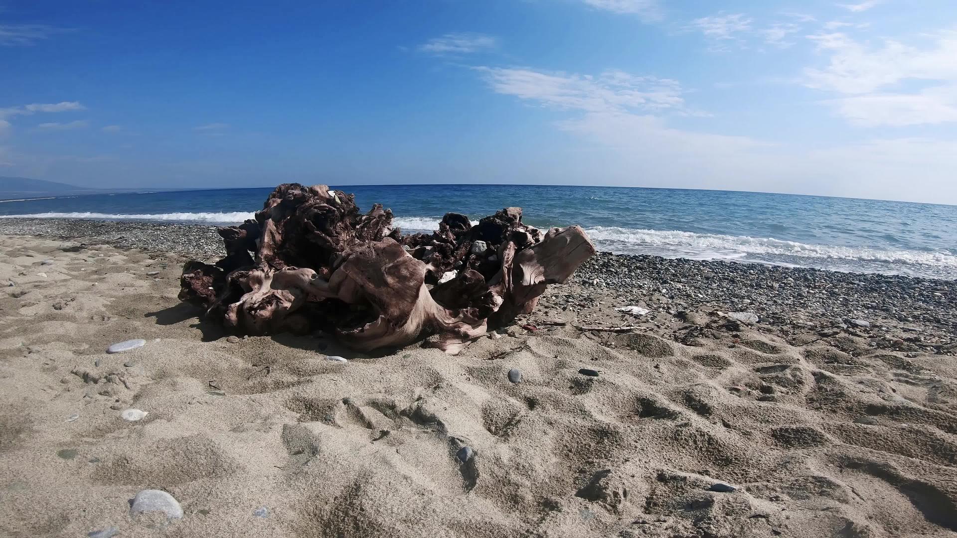 热带海滩上的旧树干上有岩石和沙子视频的预览图