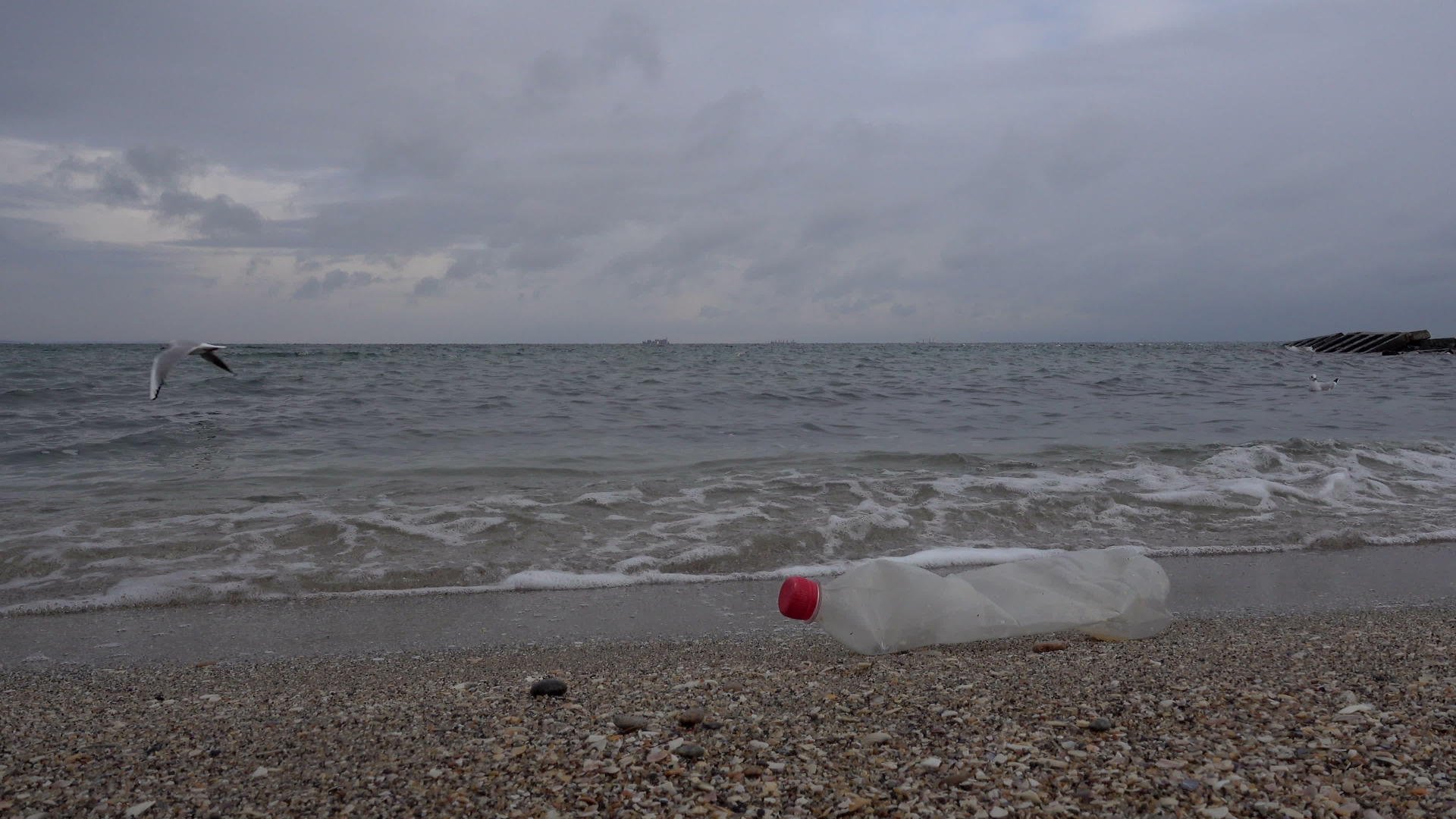 海洋污染视频的预览图