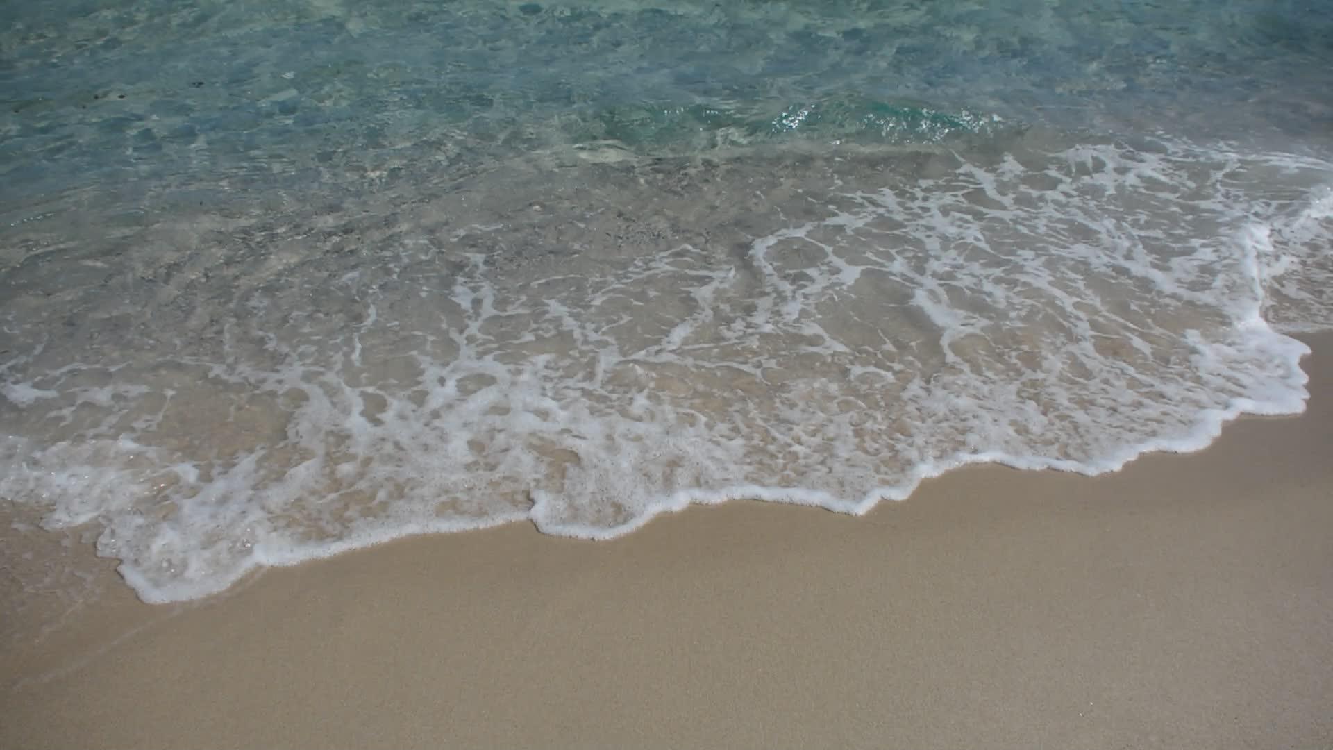 沙地尼纳的公海视频的预览图