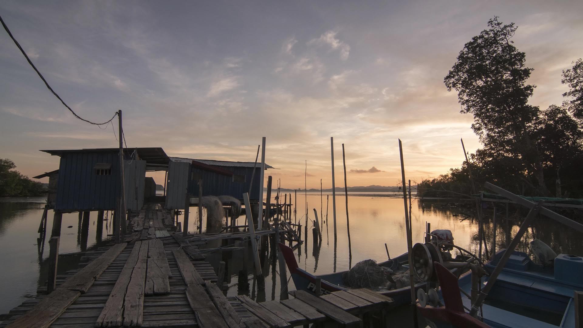 日落的渔场在红树林沼泽附近视频的预览图
