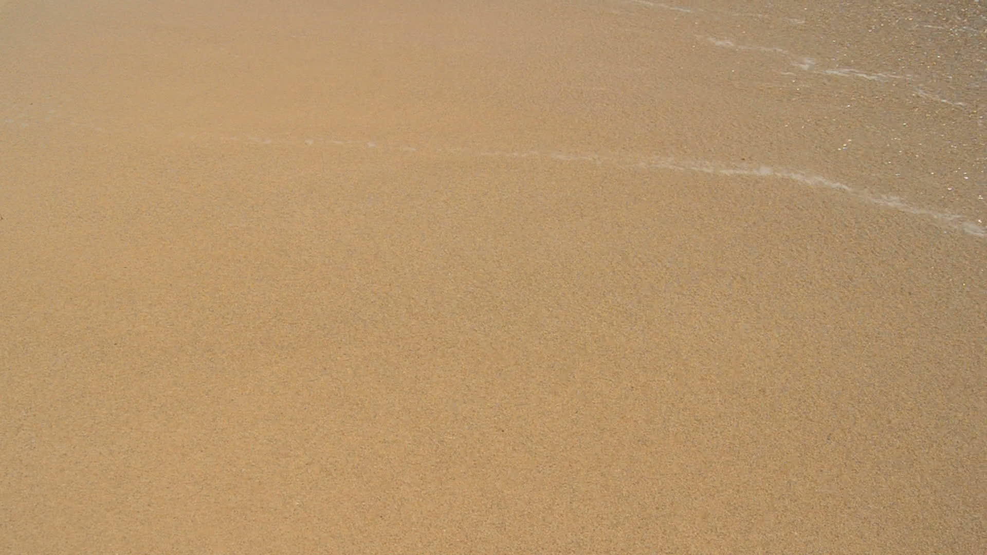 海滩的海浪视频的预览图
